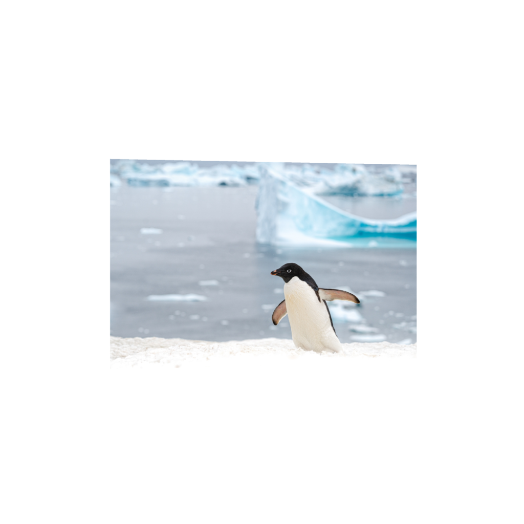 fineartprints_rectangle2_3_0_267_5733_3822_0.png
