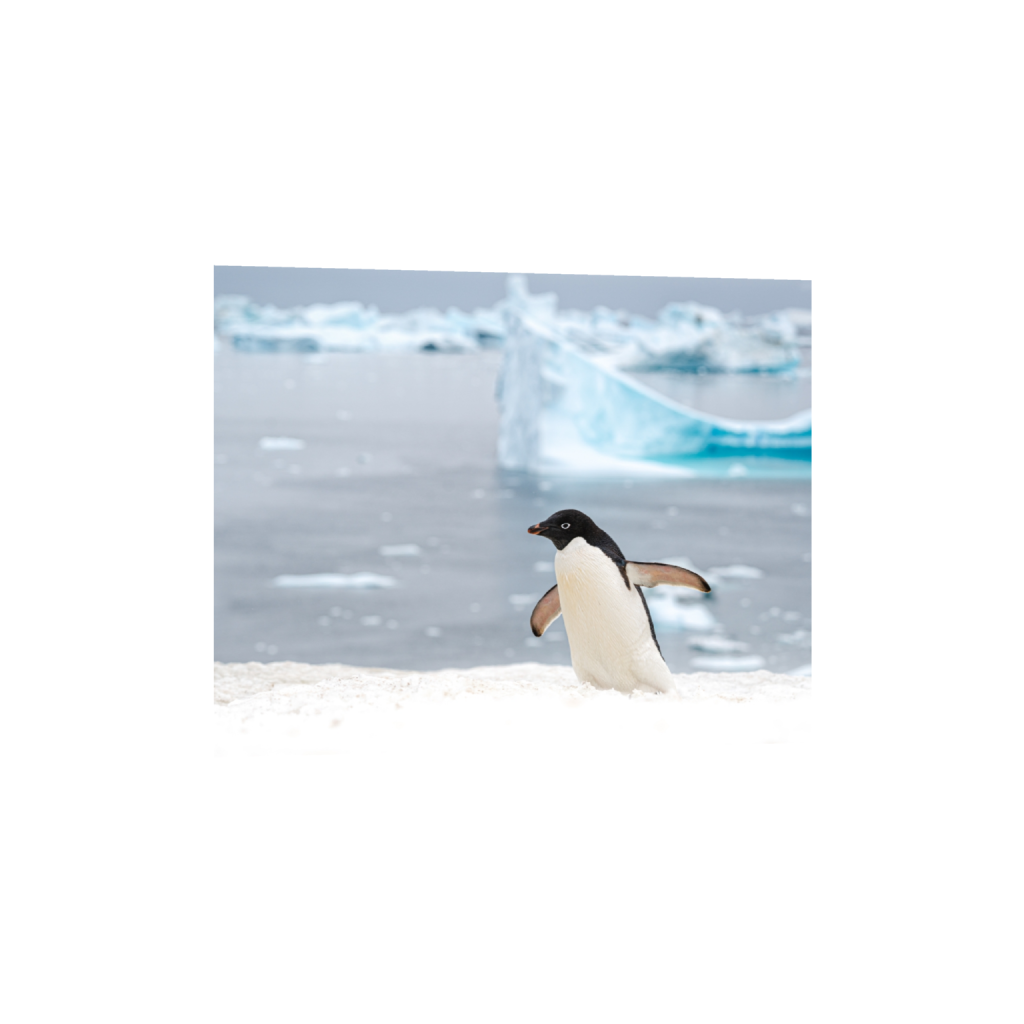 fineartprints_rectangle4_5_143_0_5446_4357_0.png
