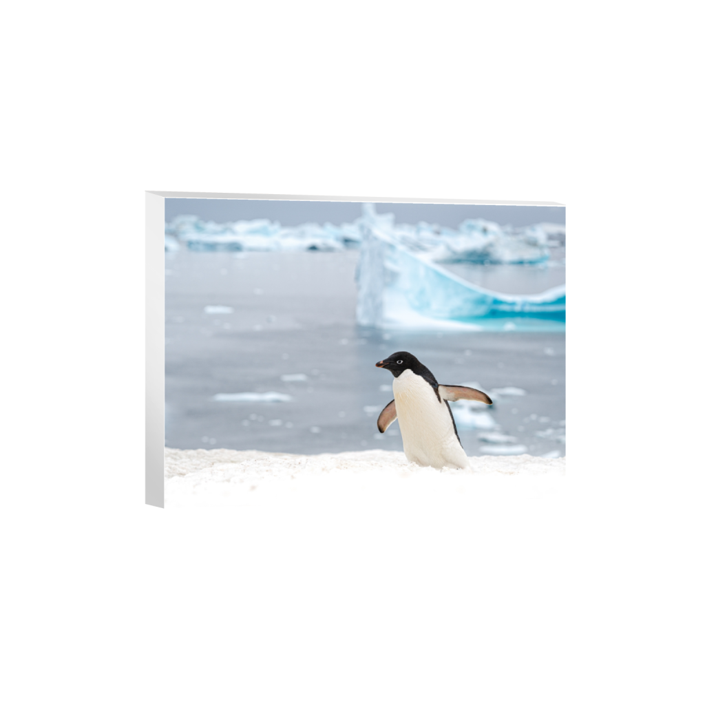canvas_rectangle3_4_0_28_5733_4299_0.png