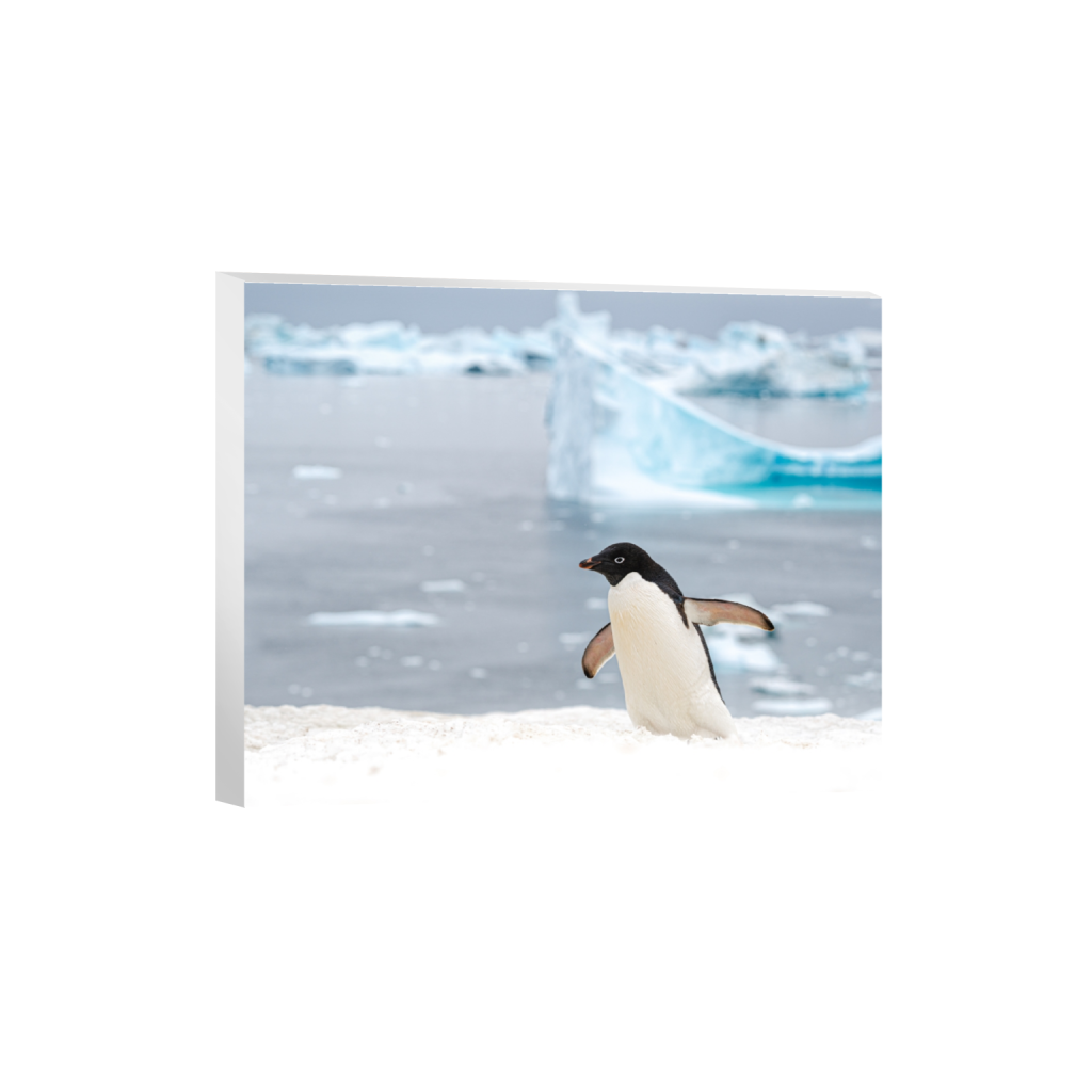 canvas_rectangle4_5_143_0_5446_4357_0.png