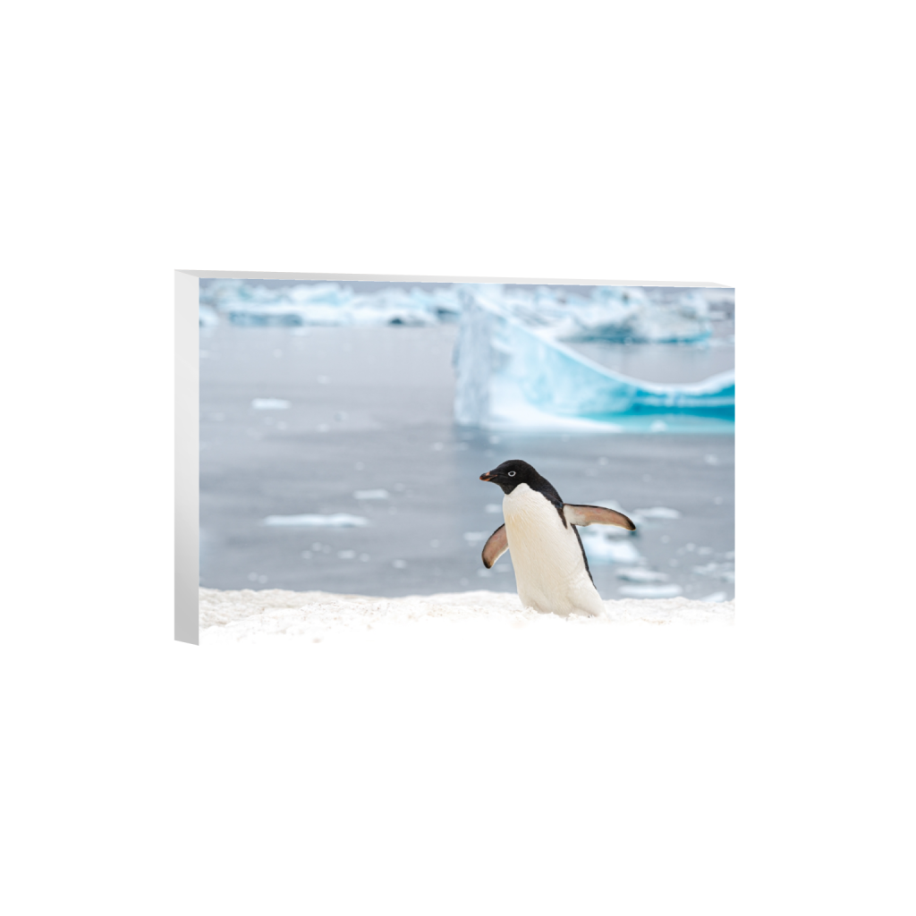 canvas_rectangle2_3_0_267_5733_3822_0.png