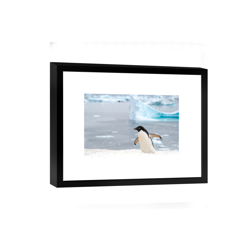 smartframe_rectangle2_3_0_267_5733_3822_0.png