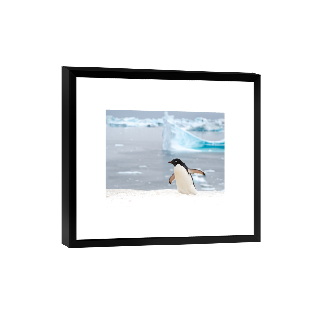 smartframe_rectangle4_5_143_0_5446_4357_0.png
