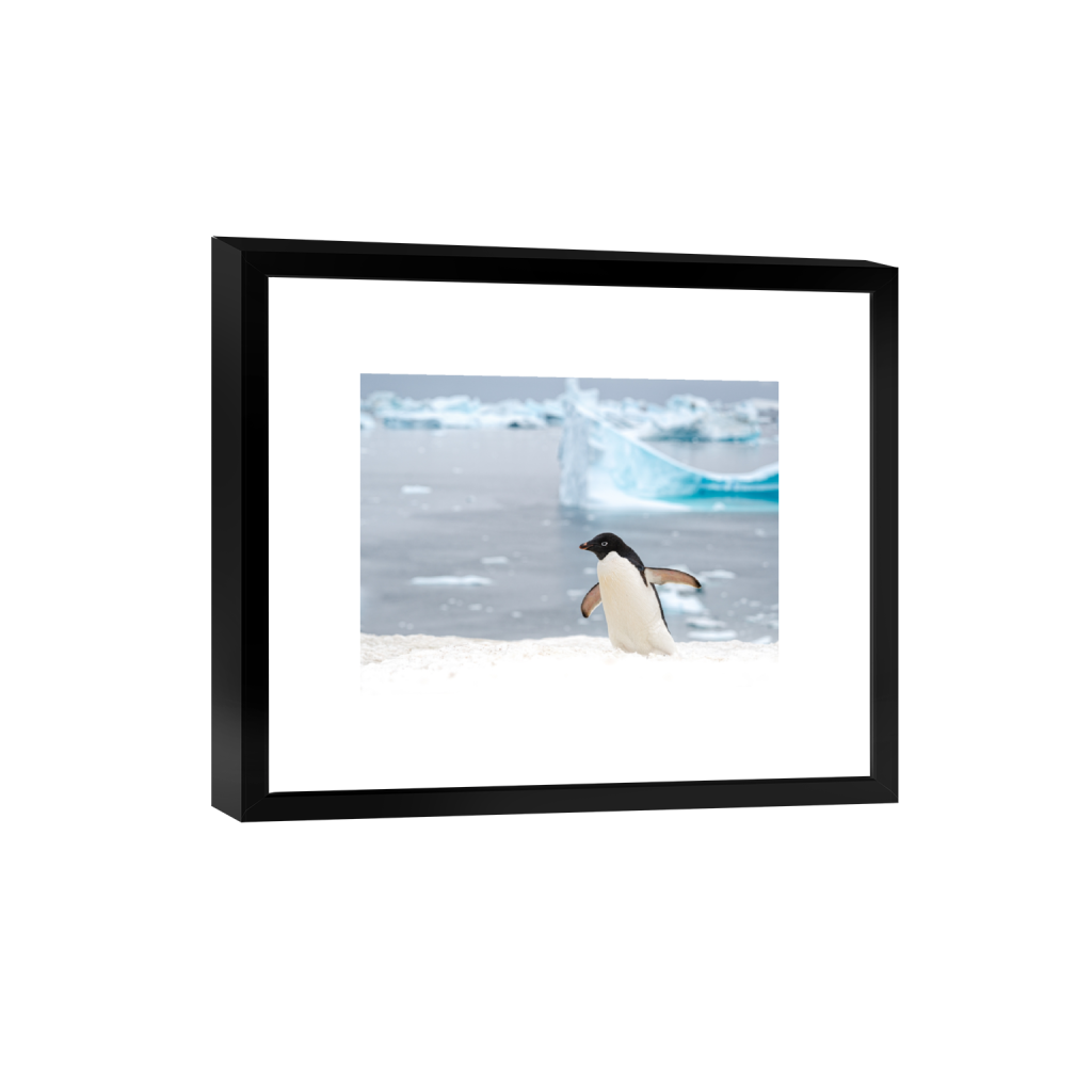 smartframe_rectangle3_4_0_28_5733_4299_0.png