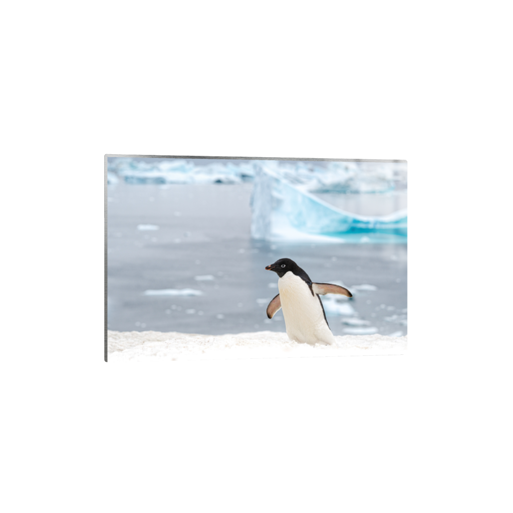 metalprint_rectangle2_3_0_267_5733_3822_0.png