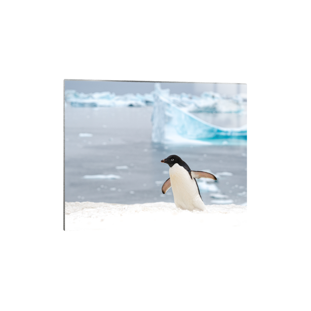 metalprint_rectangle4_5_143_0_5446_4357_0.png