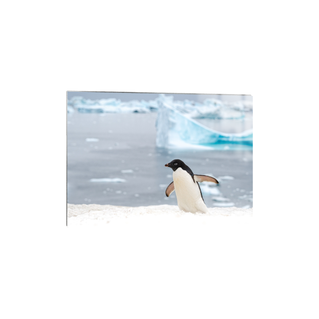 metalprint_rectangle5_7_0_131_5733_4095_0.png