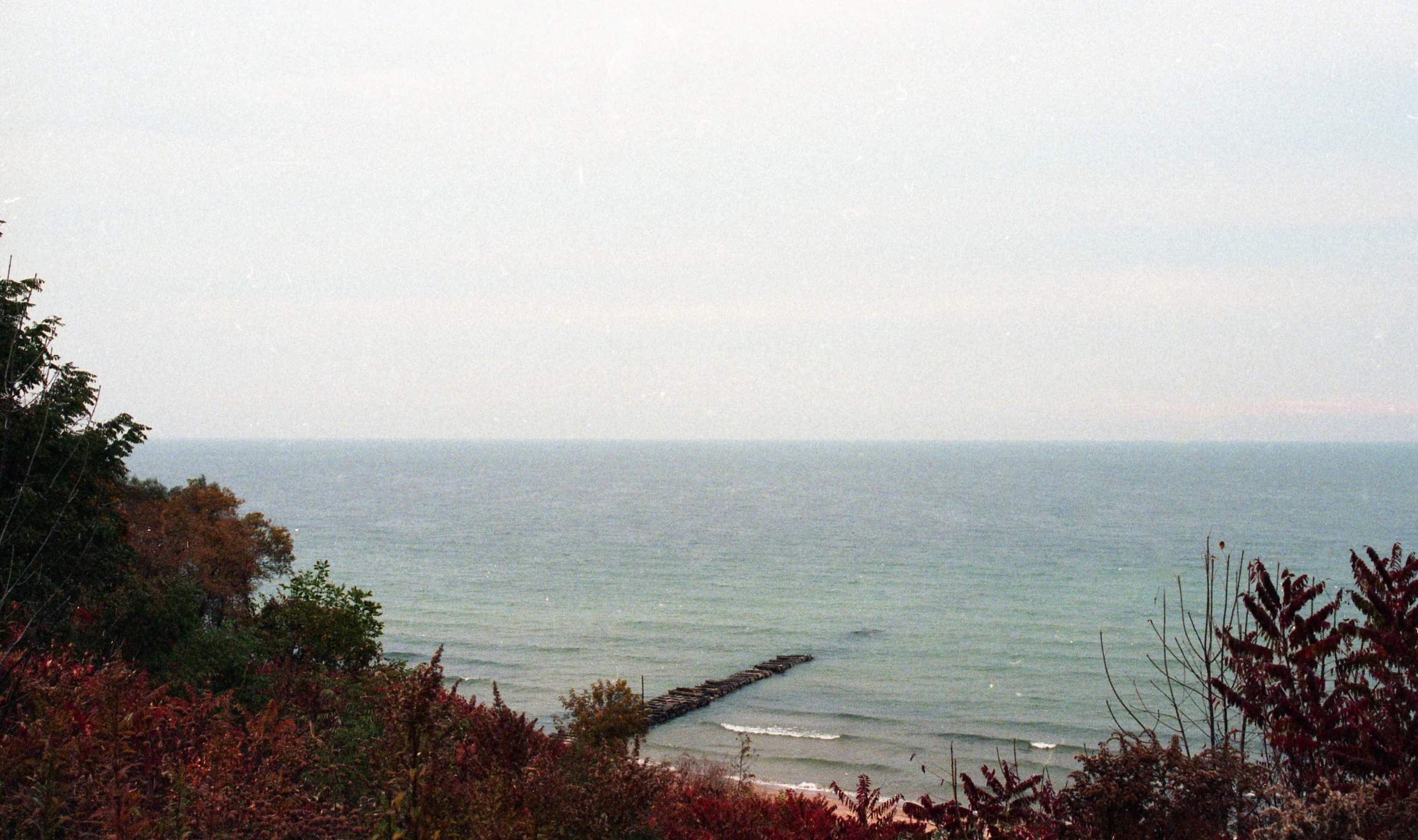 img004.jpg