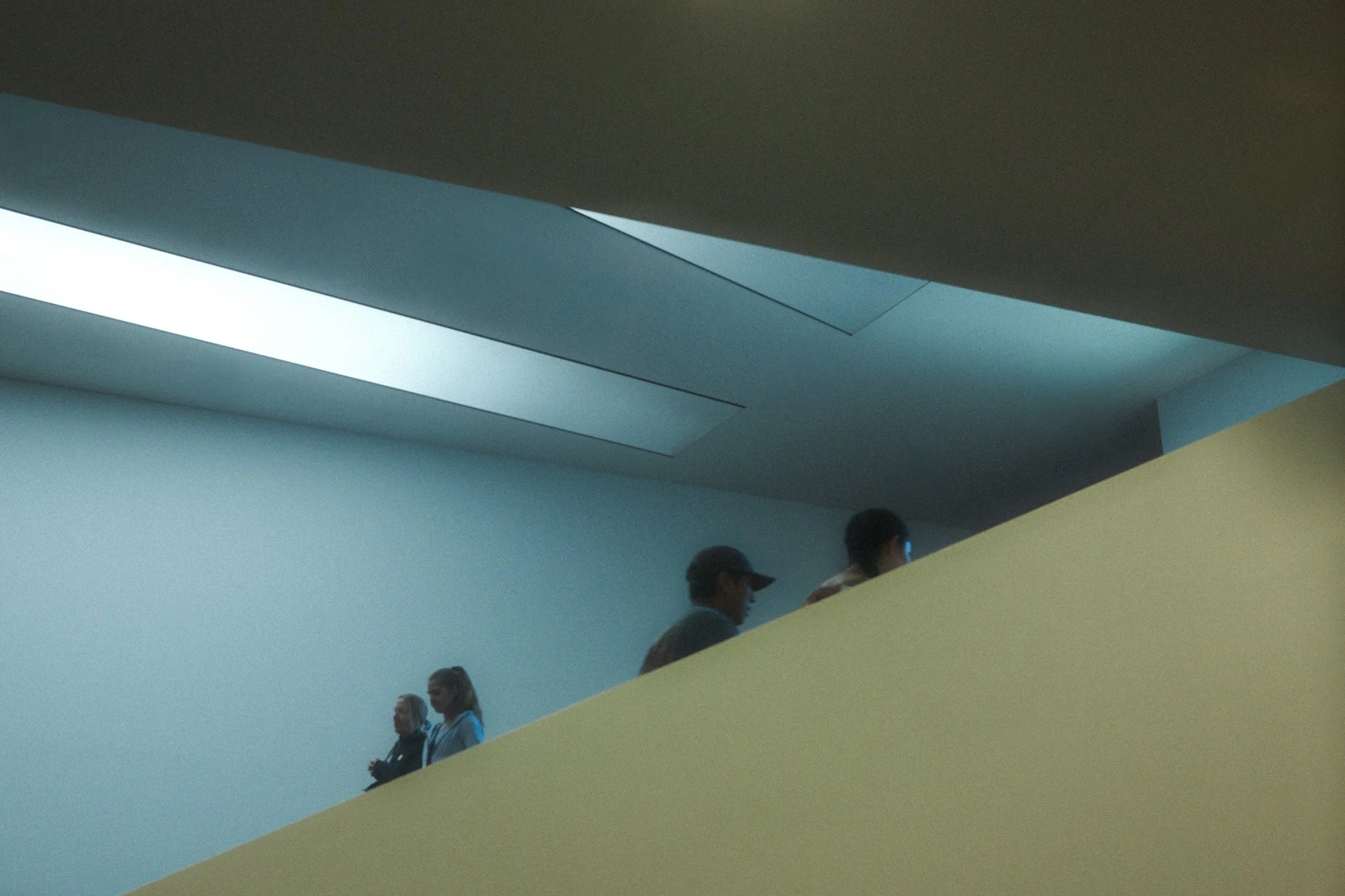 DSCF5179.jpg