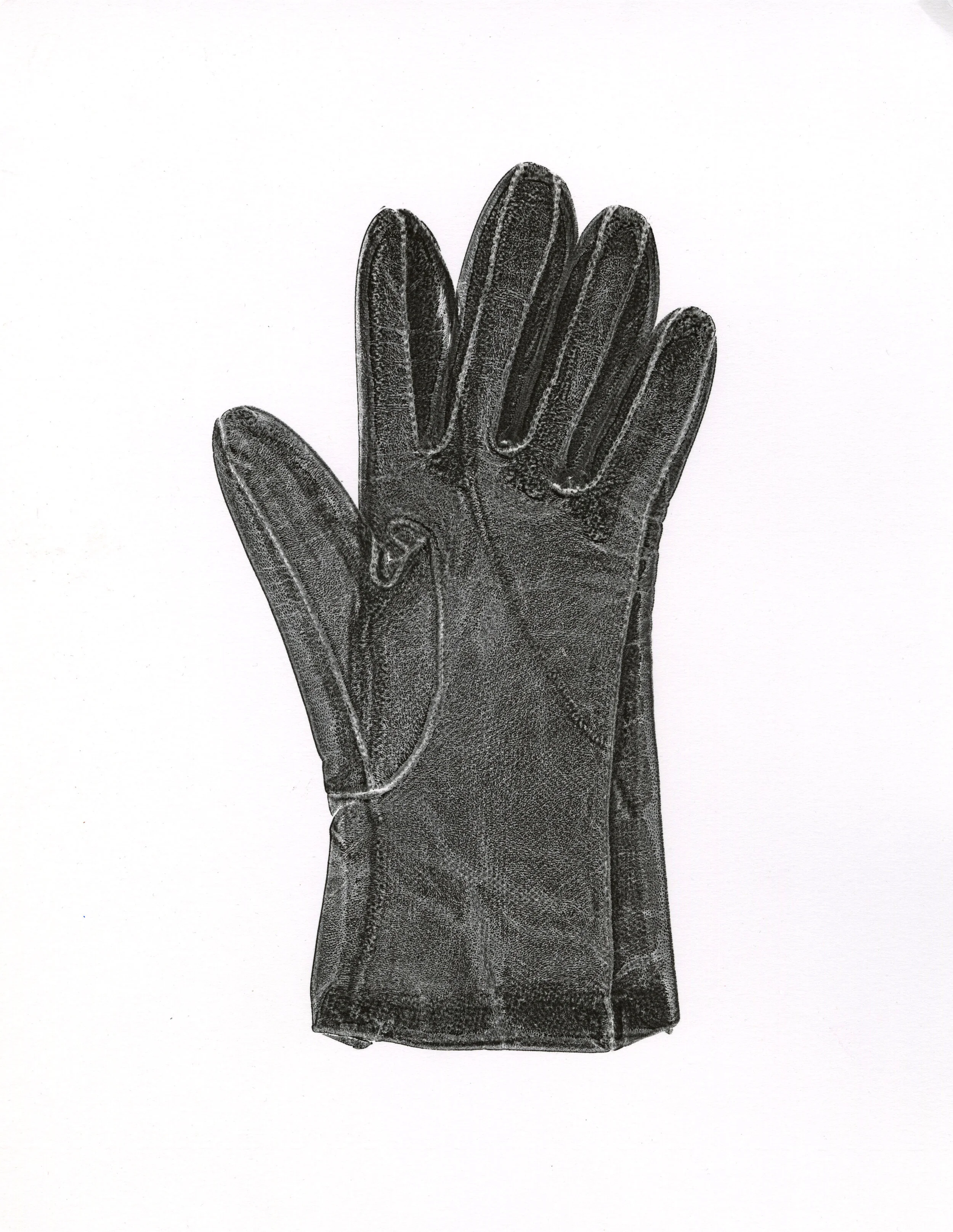 ShelbyGlove5.jpg