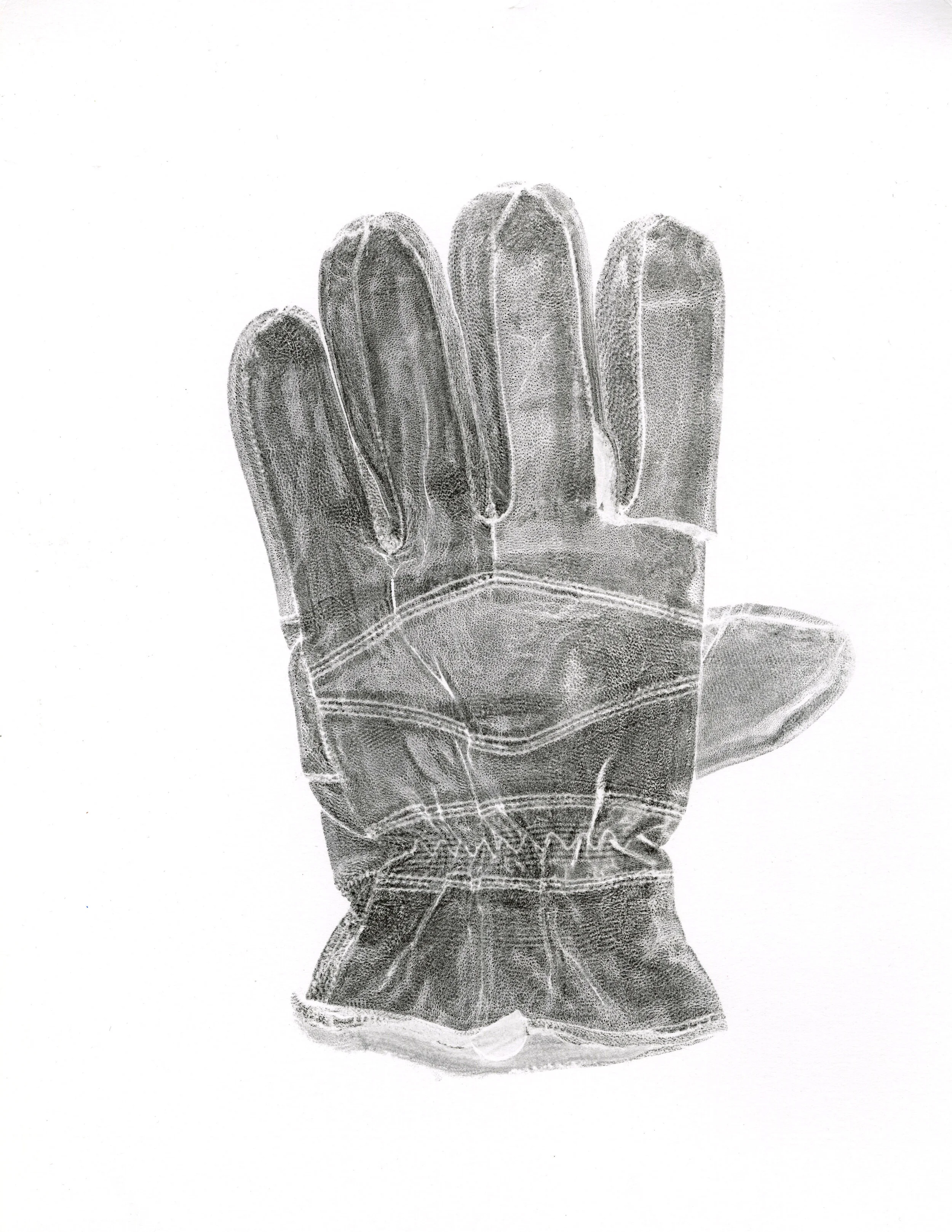ShelbyGlove6.jpg