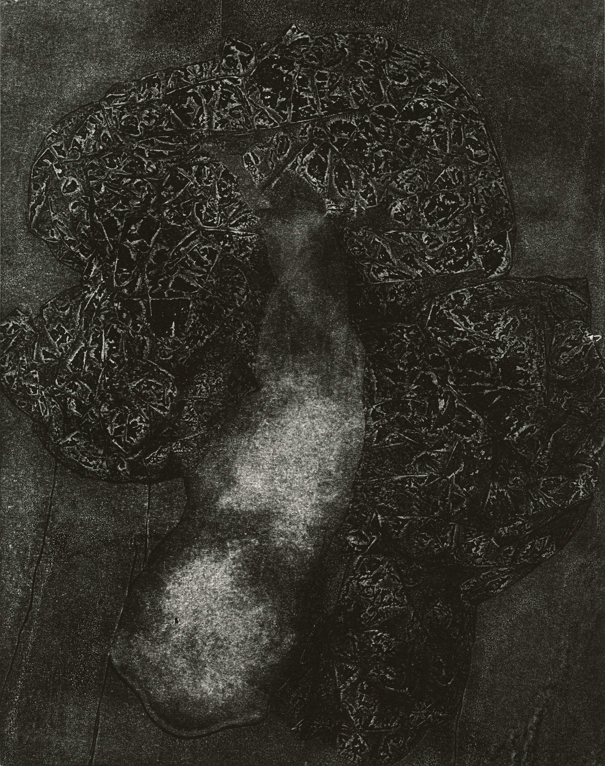 ShelbyCharlesworthMonoprint.jpg