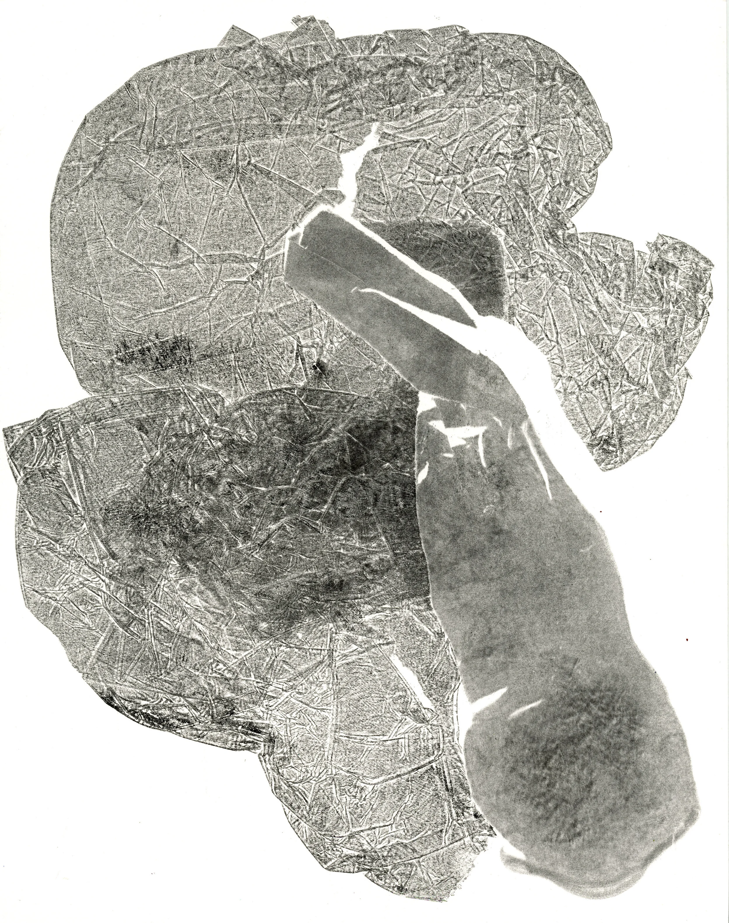 ShelbyCharlesworthMonoprint2.jpg