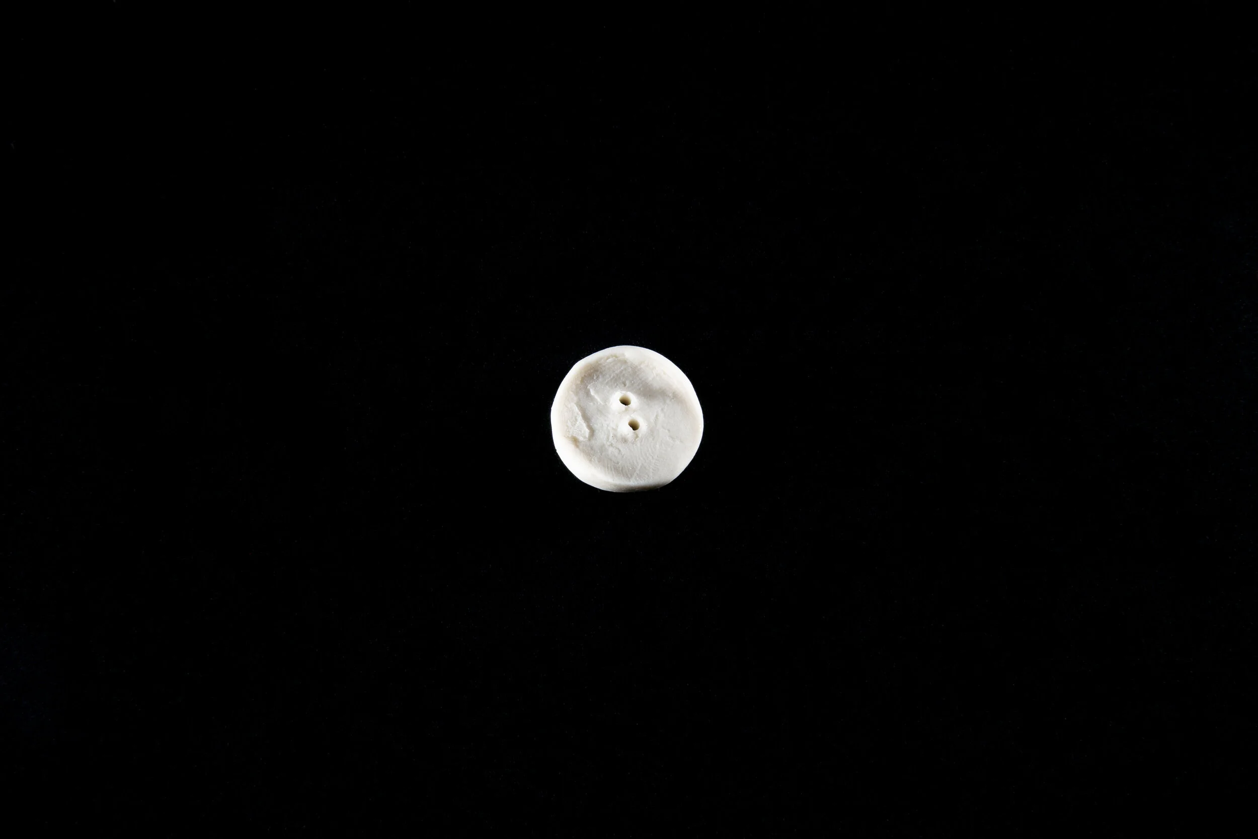SCharlesworth_Button_129_edited.jpg