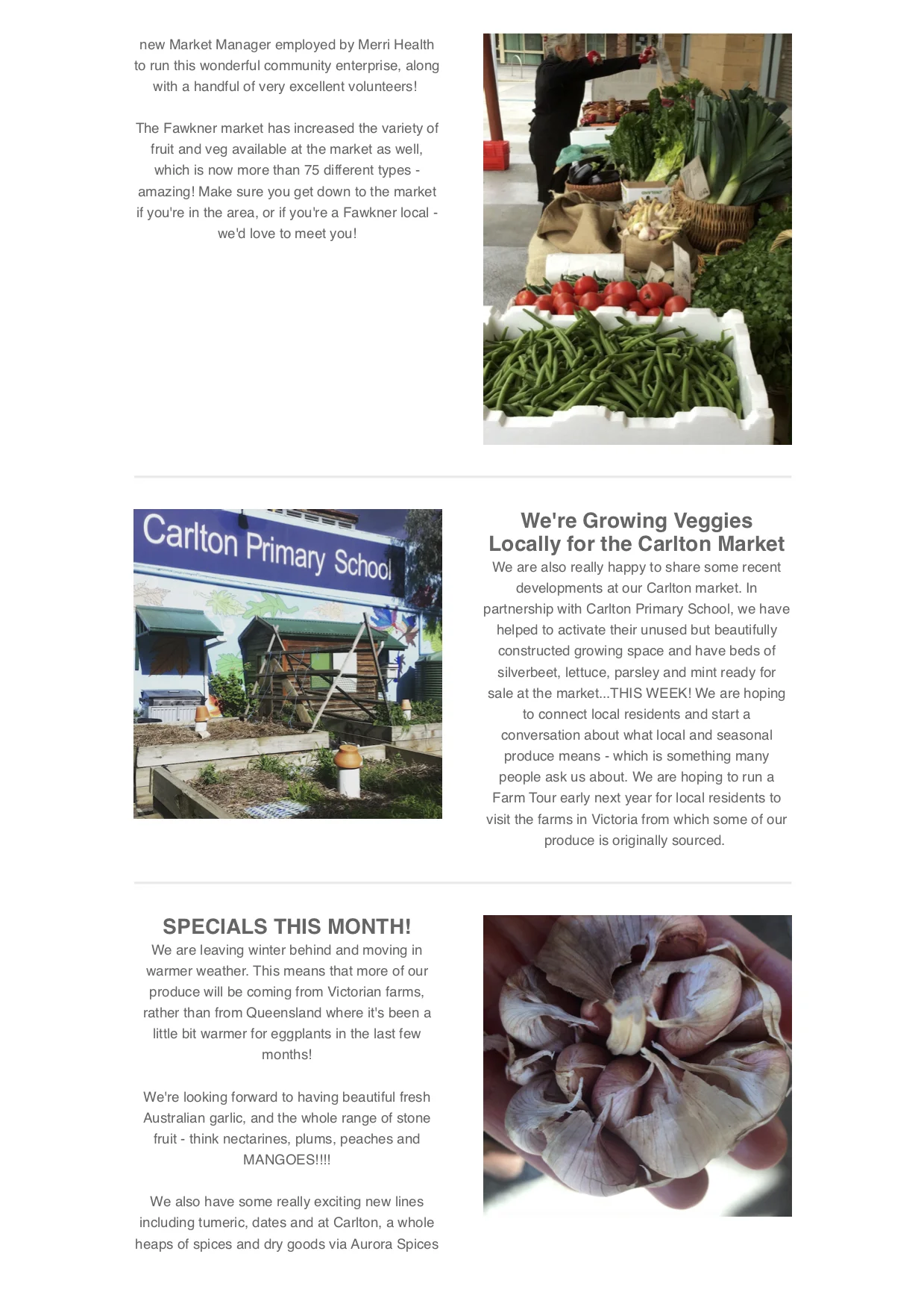 2017 October Newsletter 2.jpg