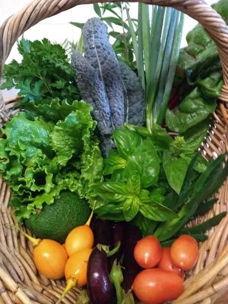 leilas basket.jpg