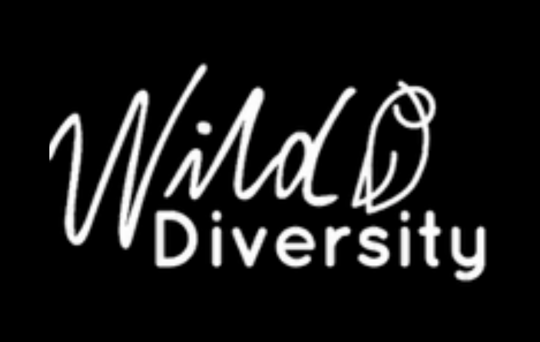 Wild Diversity - Wild Diversity helps to create a personal connection to the outdoors for black, indigenous, BIPOC & the LGBTQ+ communities, through outdoor adventures and education.