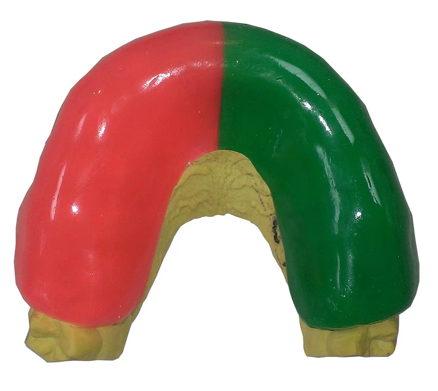 Mouthguard-two-colour.jpg