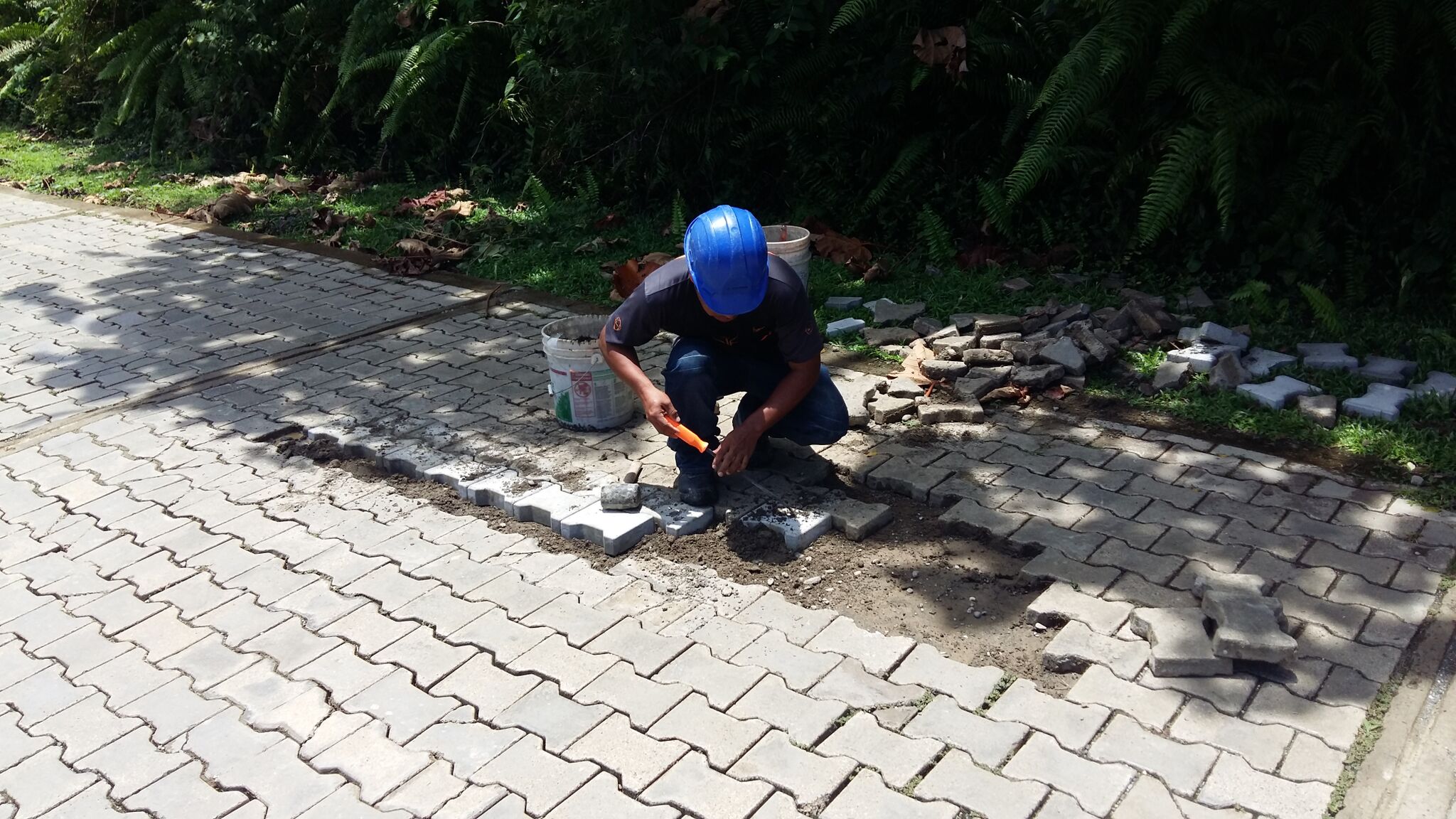 Road paving.jpeg
