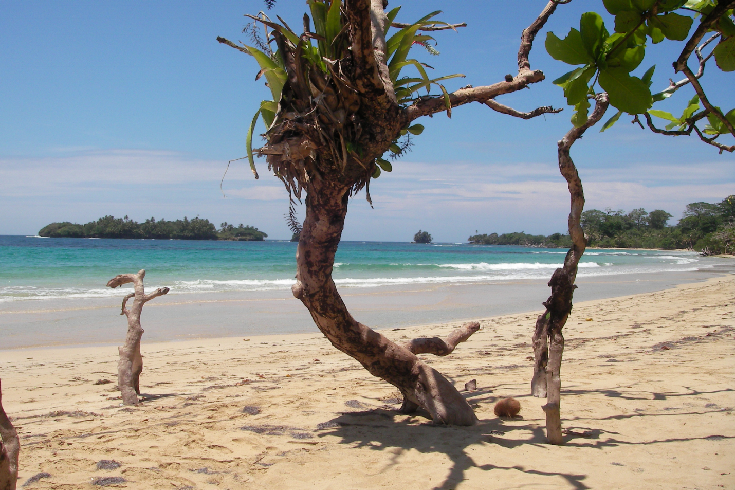 island-lot.png