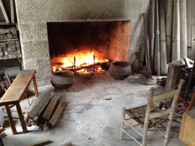 IMG_4561.jpeg