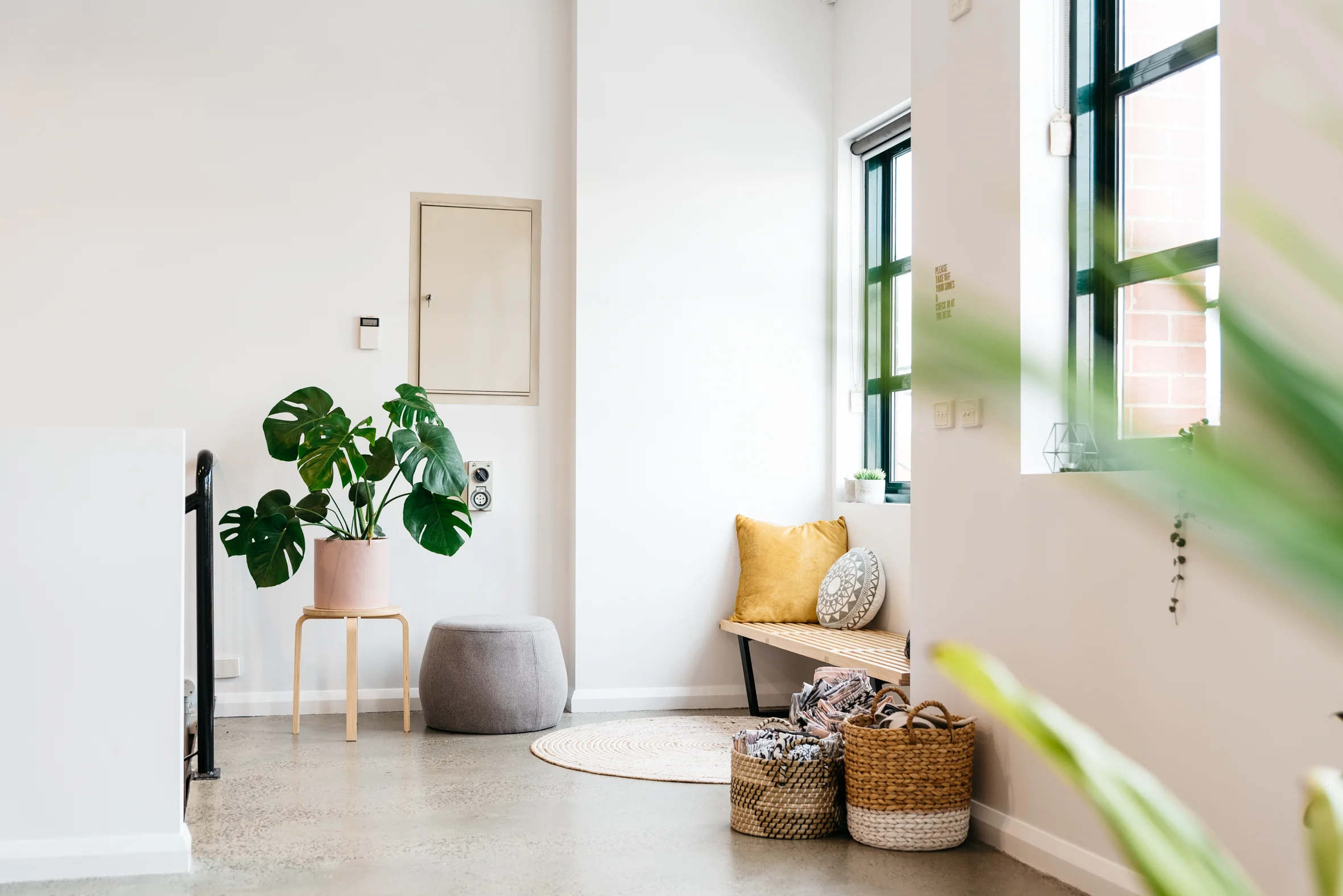PlantMama-11.jpg