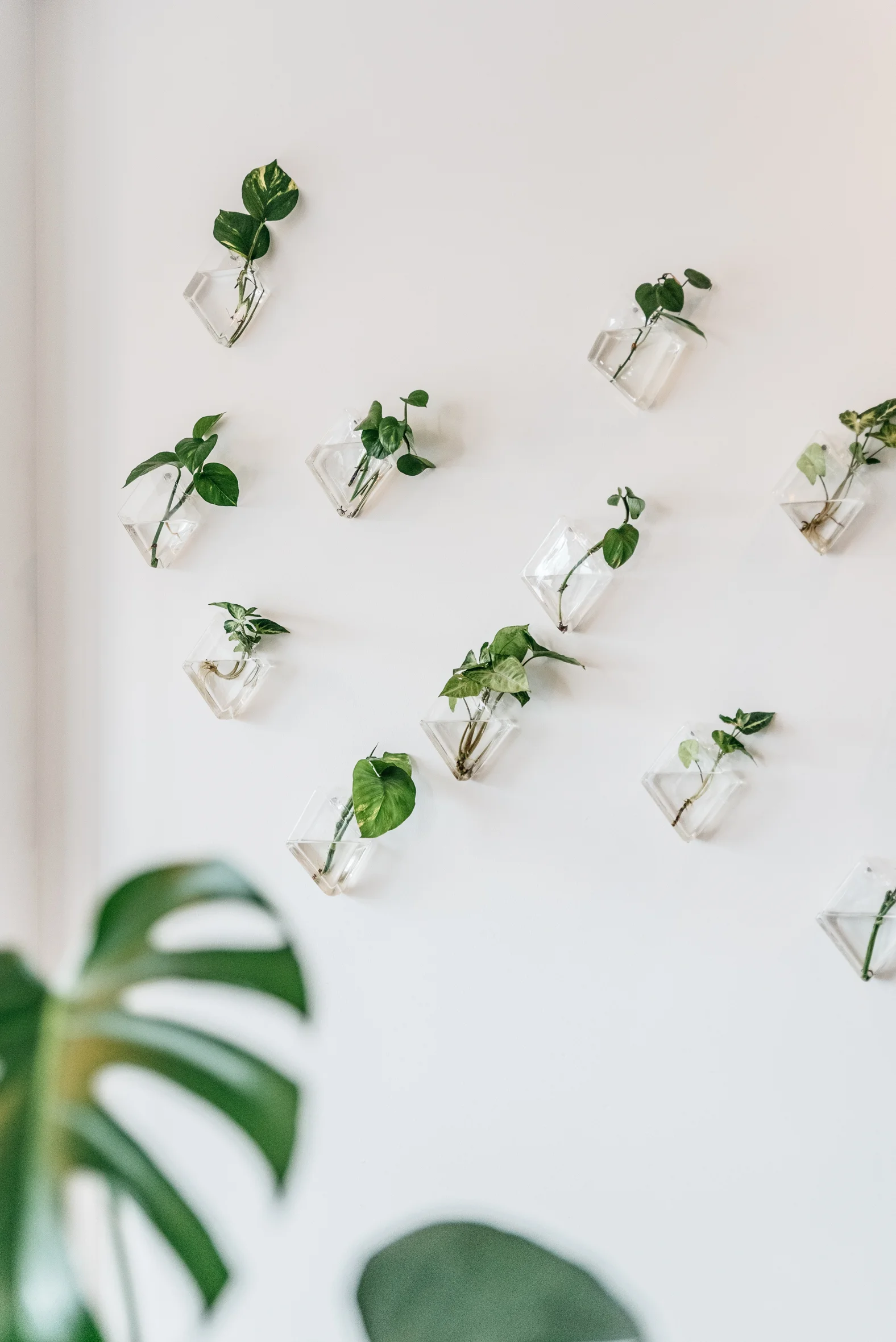 PlantMama-13.jpg