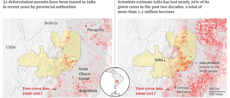 Guardian graphic. Source: Global Forest Watch