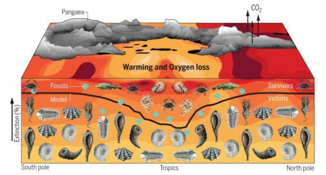 “The percentage of marine animals that went extinct at the end of the Permian era by latitude, from the model (black line) and from the fossil record (blue dots).   University of Washington