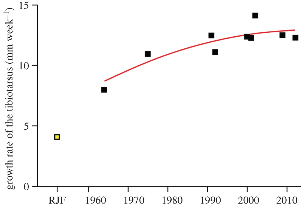 Figure 5.   Accelerating growth rate of broilers throughout the second half of the twentieth century. The tibiotarsus bone is used as a proxy for skeleton growth,  N  = 10. Records of tibiotarsus growth rates were obtained from broilers reared in 1964: New Hampshire/Barred Rock cross-breed, USA [  32  ]; 1975: unspecified commercial broilers, Canada [  33  ]; 1991: Vantress/Arbor Acre cross-breed, USA, males [  34  ]; 1992: Cobb, Nigeria [  35  ]; 2000: Ross, Brazil [  36  ]; 2001: unspecified commercial broilers, Turkey [  37  ]; 2002: Ross/Arbor Acre cross-breed, USA [  38  ]; 2009: unspecified commercial broilers, USA [  39  ]; 2012: Ross, Poland [  40  ]. These are compared to the growth rate of the cross-bred red jungle fowl, UK [  30  ]. A smoothing spline with a smoothing factor of 4.35 [  41  ] fitted to the 1964 to 2012 data indicates an increase in the growth rate of broilers from 1964 to present.