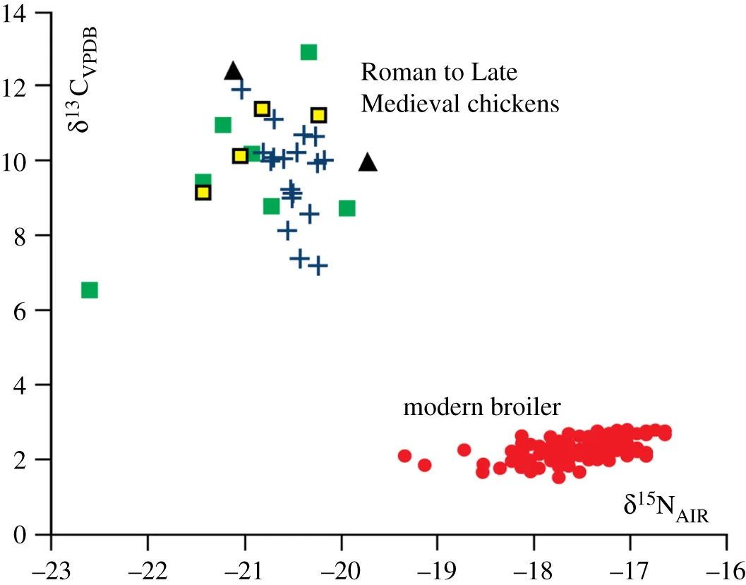 Figure 6.   Carbon (δ13C) and nitrogen (δ15N) isotope values of chicken bone collagen. Symbols relate to chicken bone collagen analysed from different periods: green squares: Roman ( N  = 7); black triangles: Anglo-Saxon ( N  = 2); yellow squares: High Medieval ( N  = 4); blue crosses: Late Medieval ( N  = 18); red circles: modern ( N  = 161). The data illustrate a change in diet towards a greater contribution of C4 cereal grains, predominantly maize, since the 1950s, which has altered the isotope values in broiler chicken bone collagen. Data compiled from various published sources [  42  –  44  ]. The results of a discriminant analysis show that the modern broiler isotope data is significantly different from the archaeological isotope data (electronic supplementary material, figure S3).