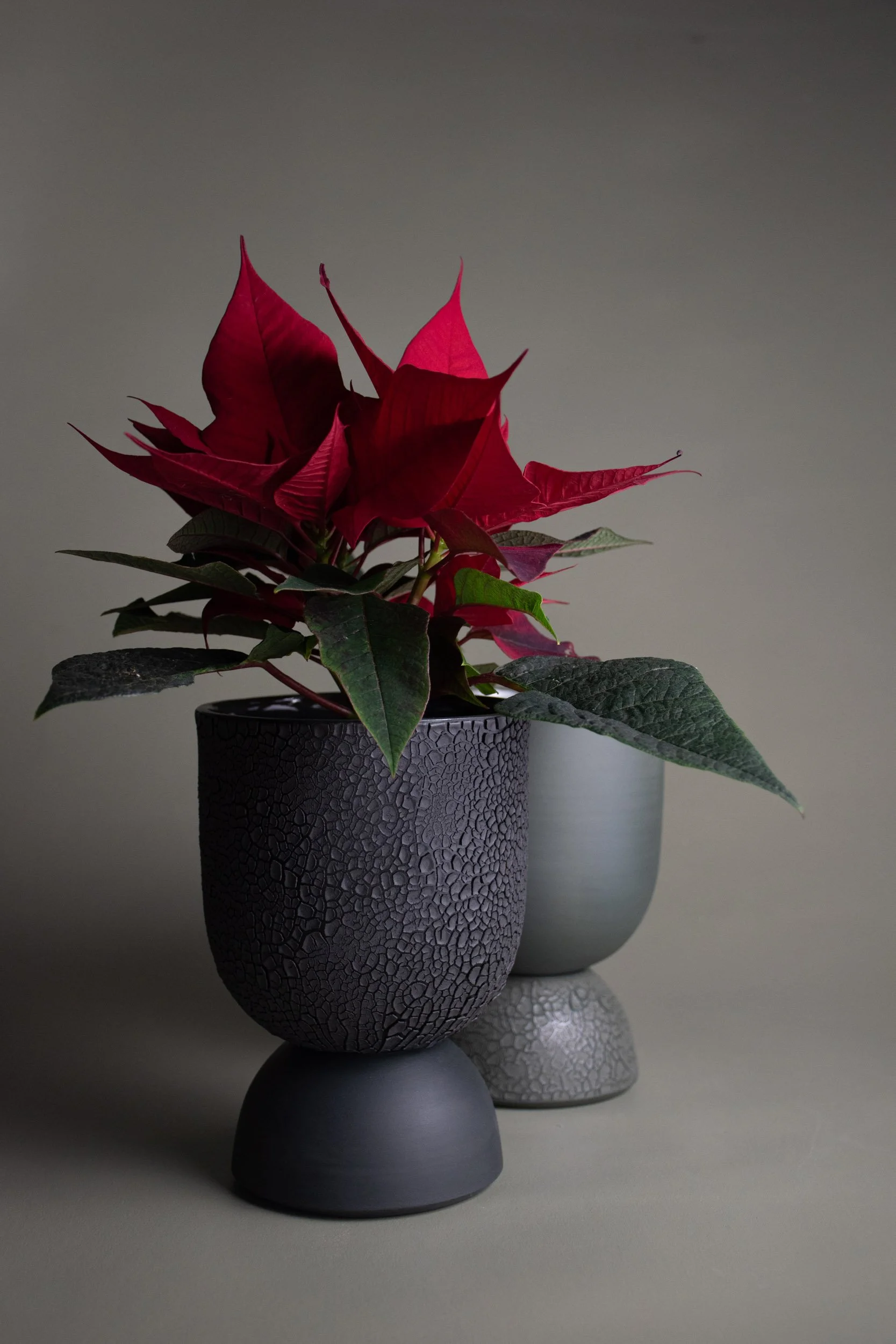 Kin CHARCOAL Self Watering Planter