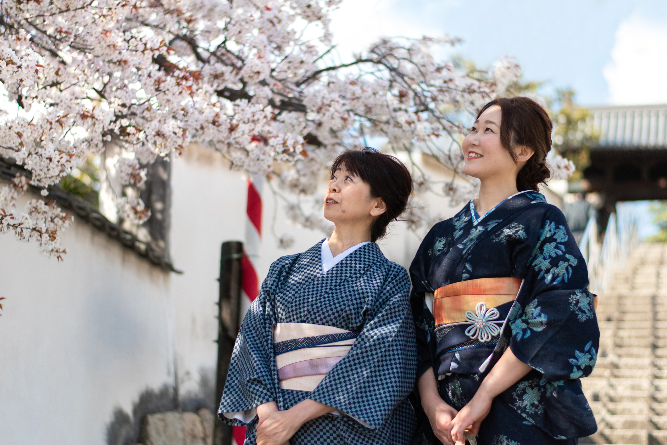 Japanese ladies wearing traditional kimonos with indigo ichimatsu pattern