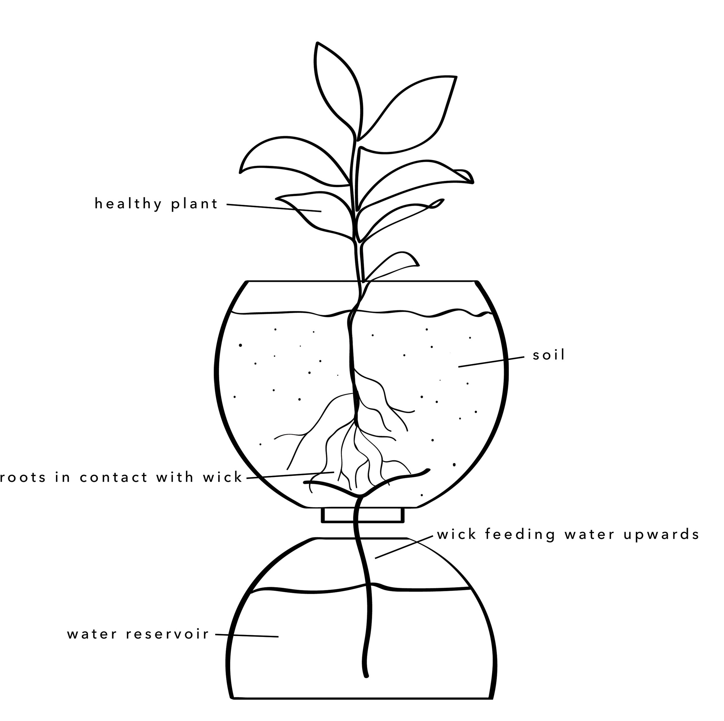 MiMOKO Ceramics — Self Watering Planter Guide