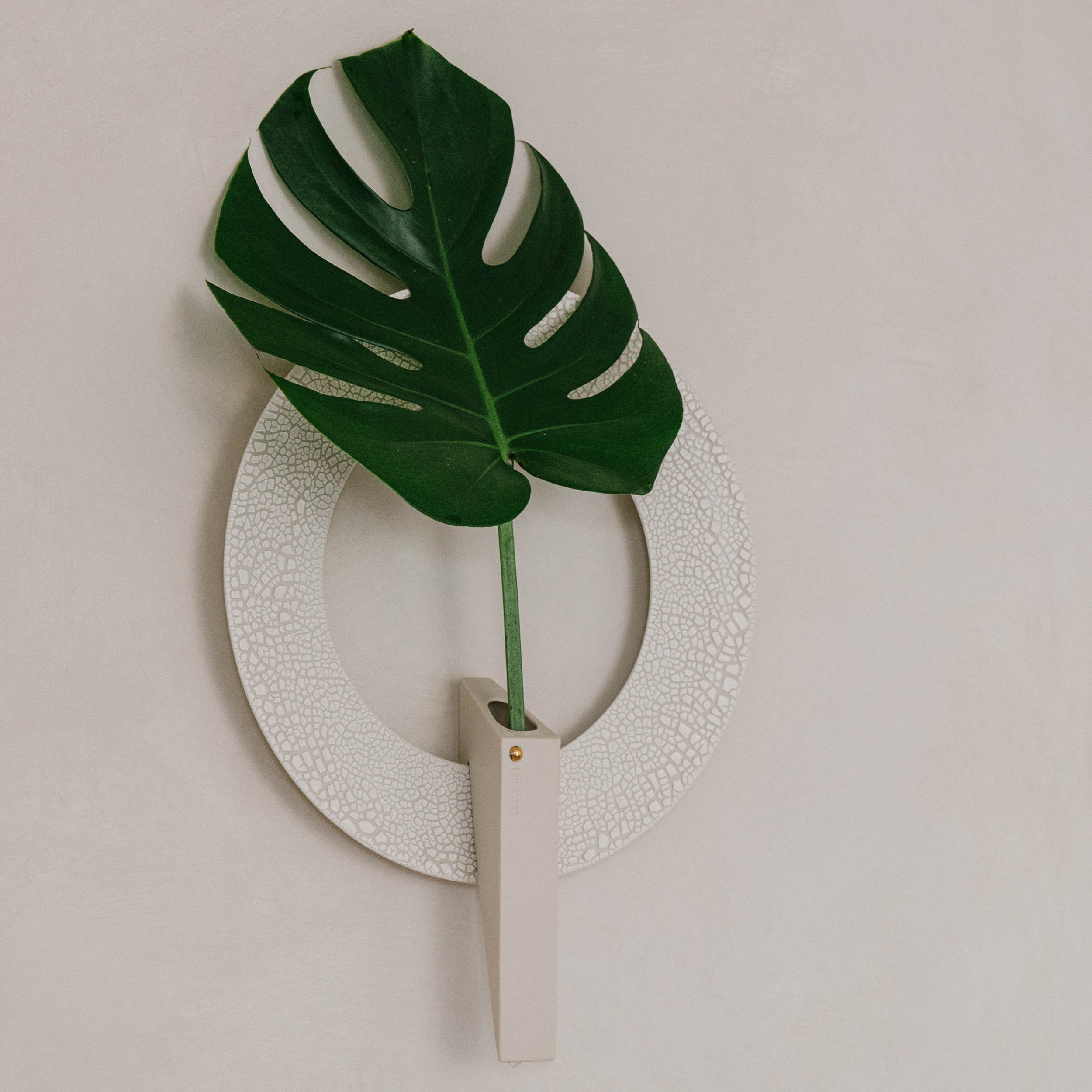 Monstera Deliciosa