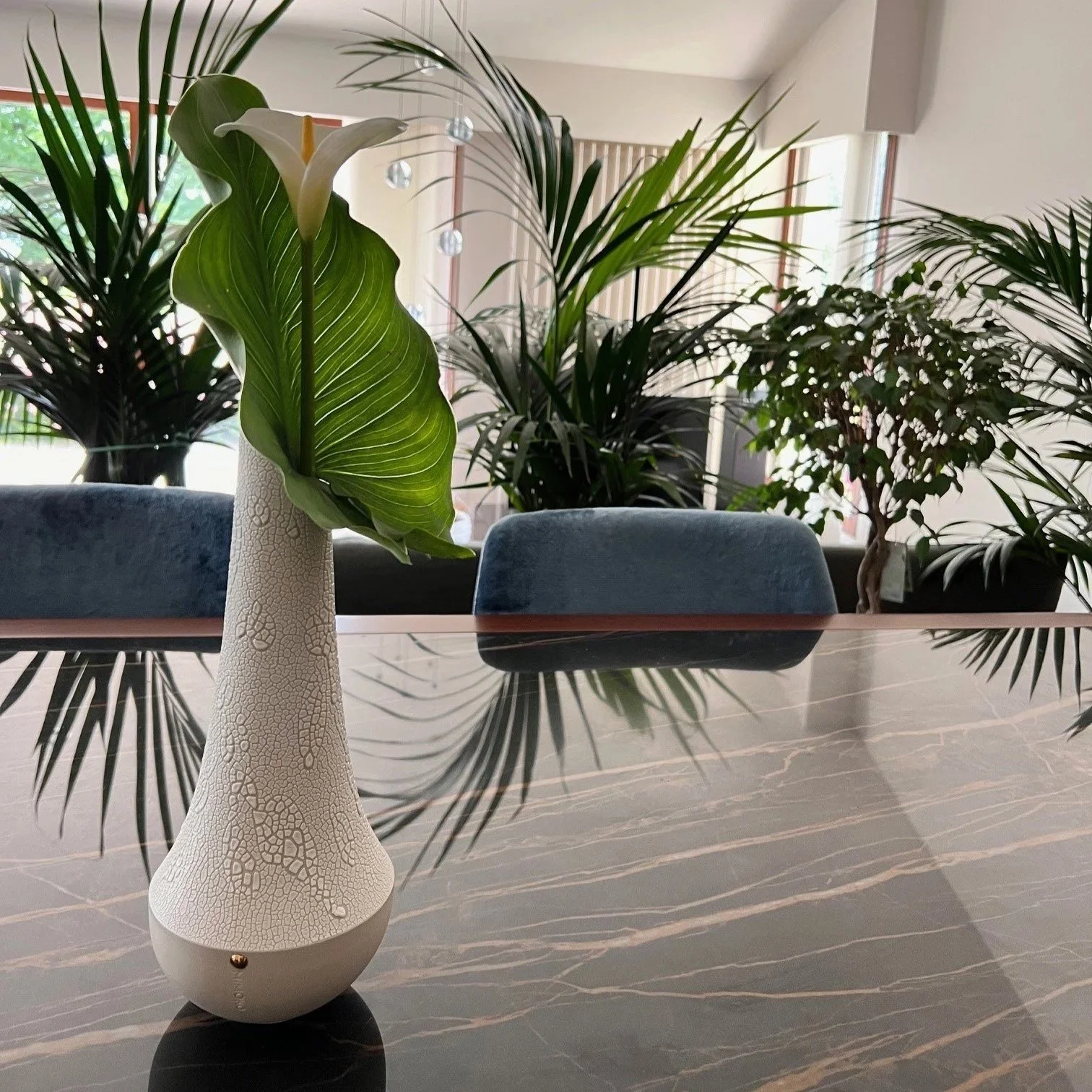 vase.jpg