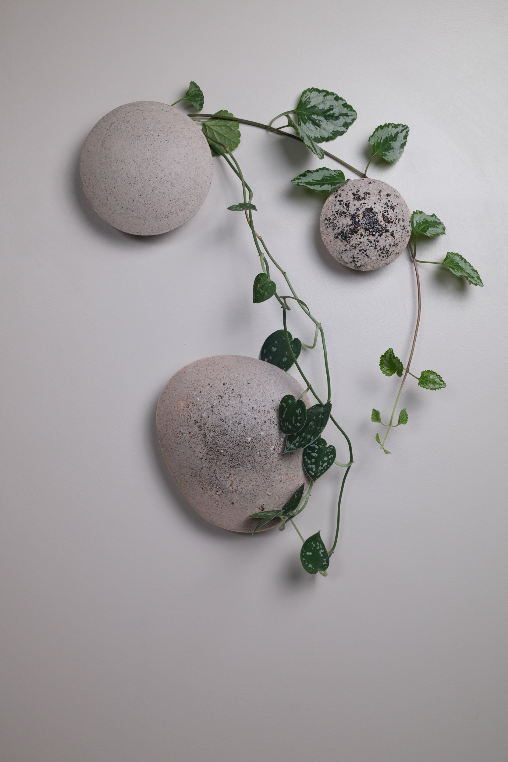 Large Seed, Small Seed, Pebble