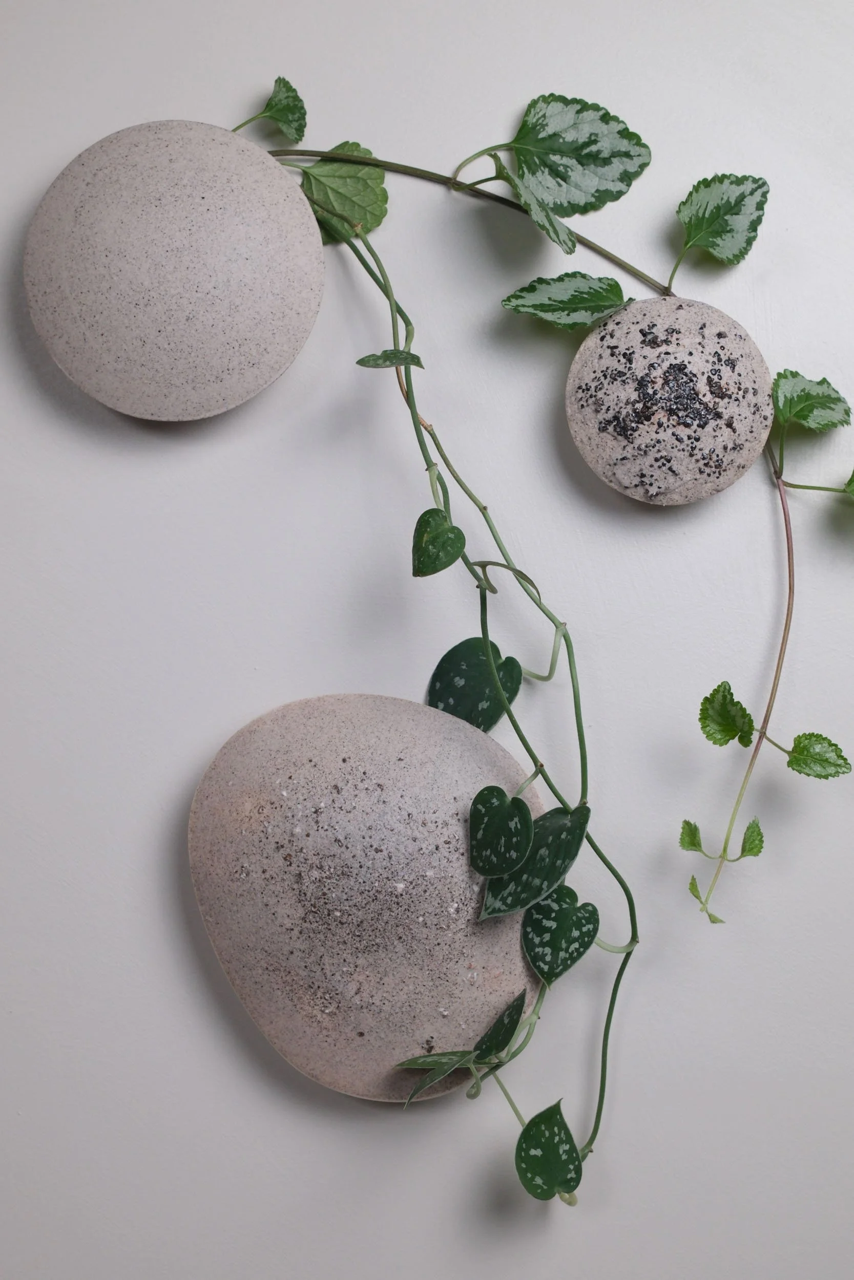 Large Seed, Small Seed, Pebble