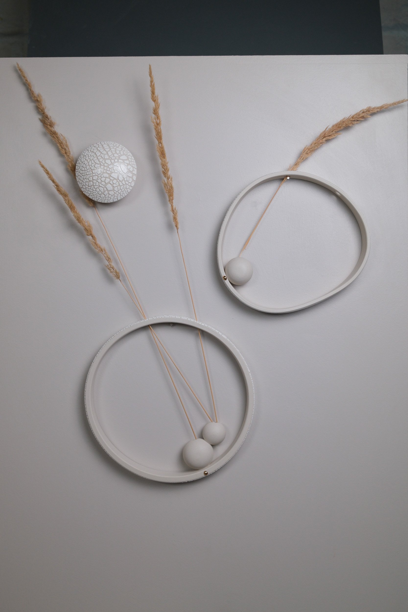 Small Seed, Large Orbital, Small Oyster in white crackle