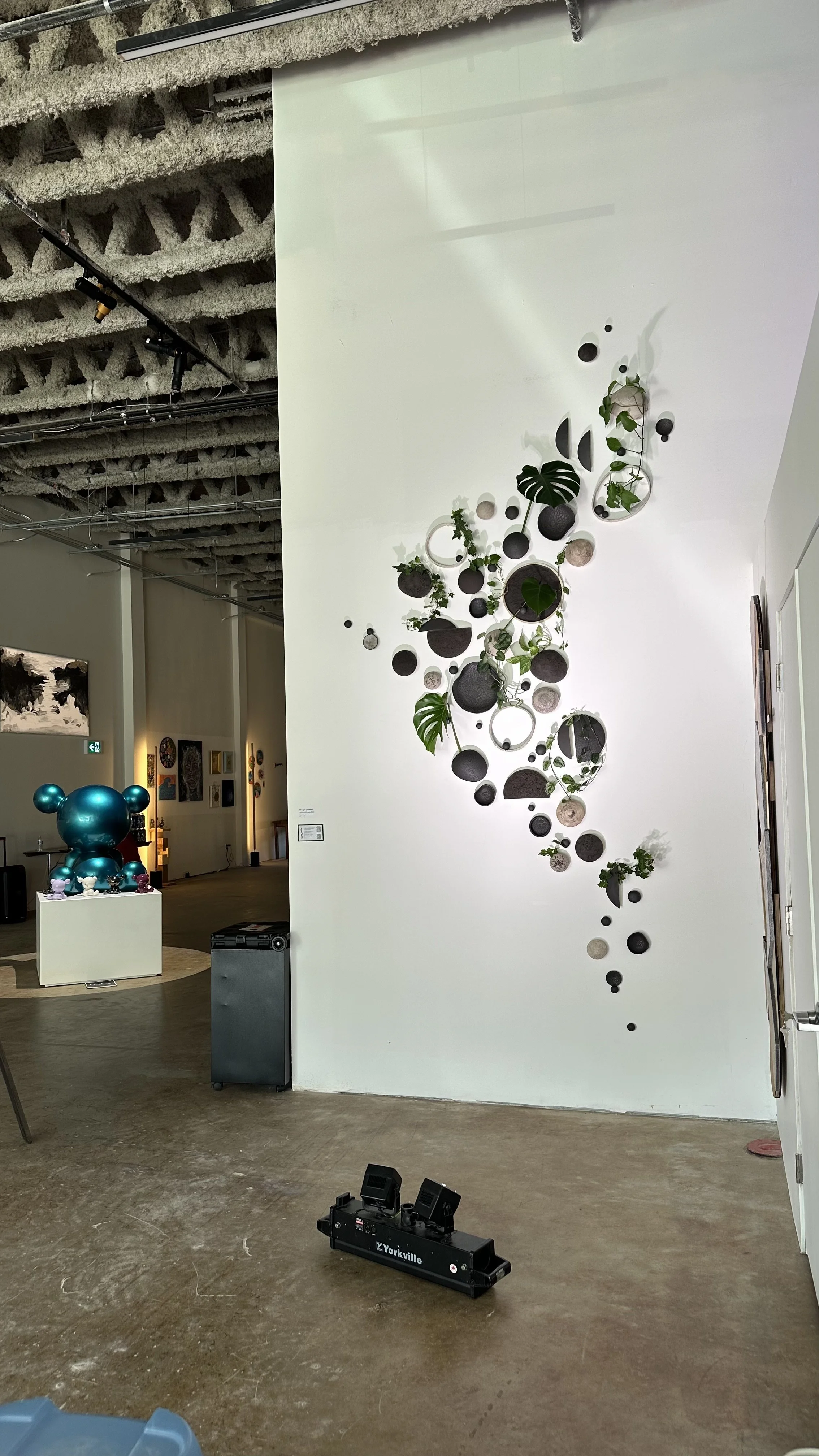 Wall Installation for Concrete & Canvas art gala, 8 Oct