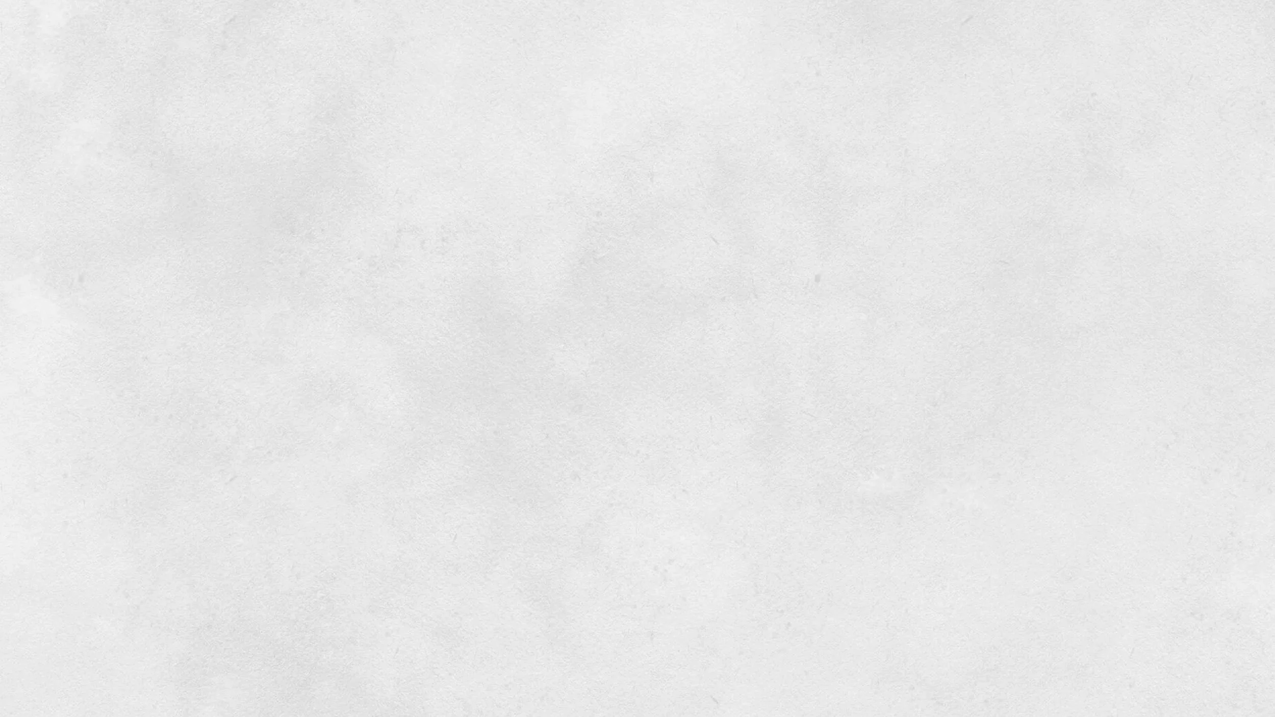 Light Grey background copy.jpg