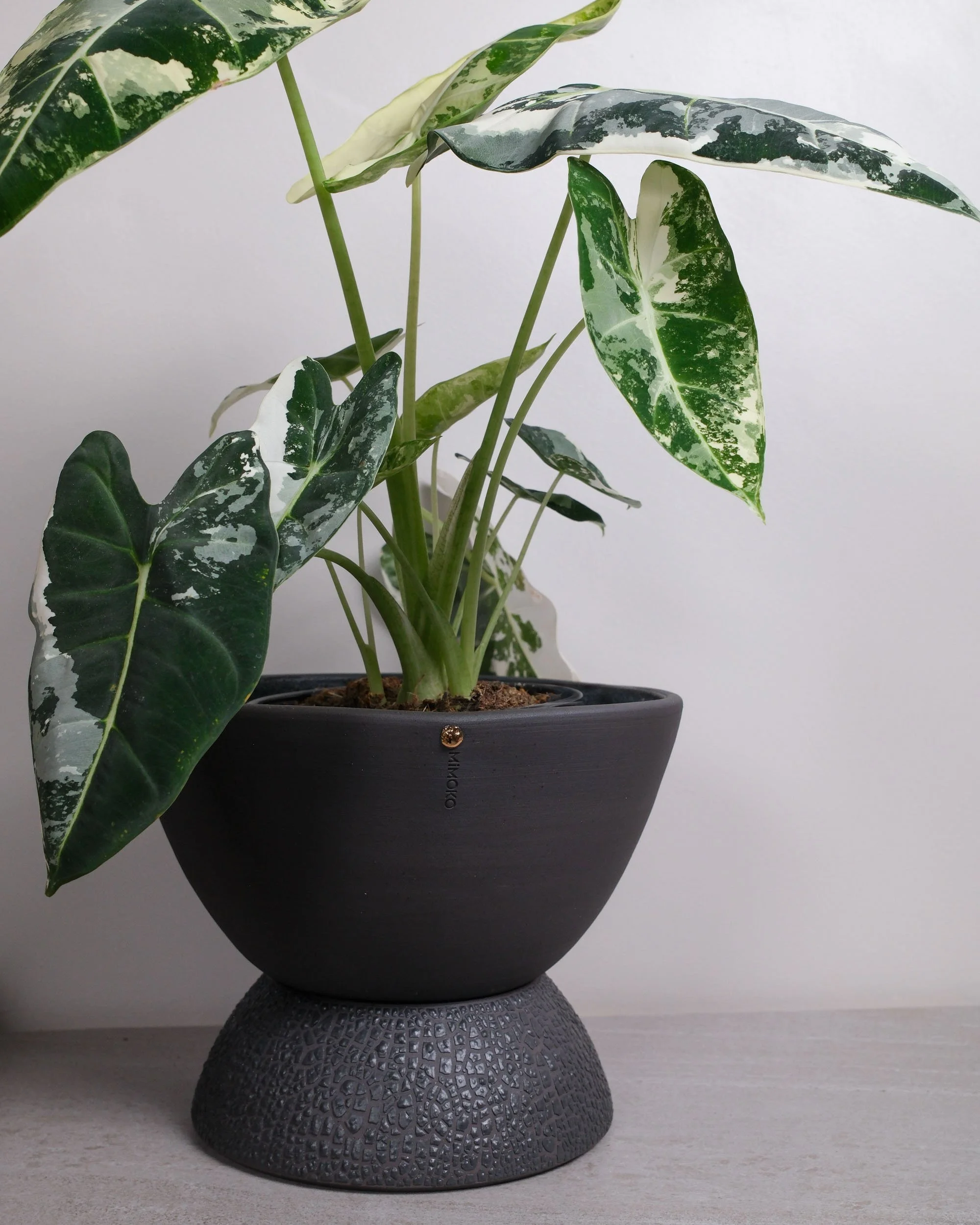 MTO - Onyx Self Watering Planter