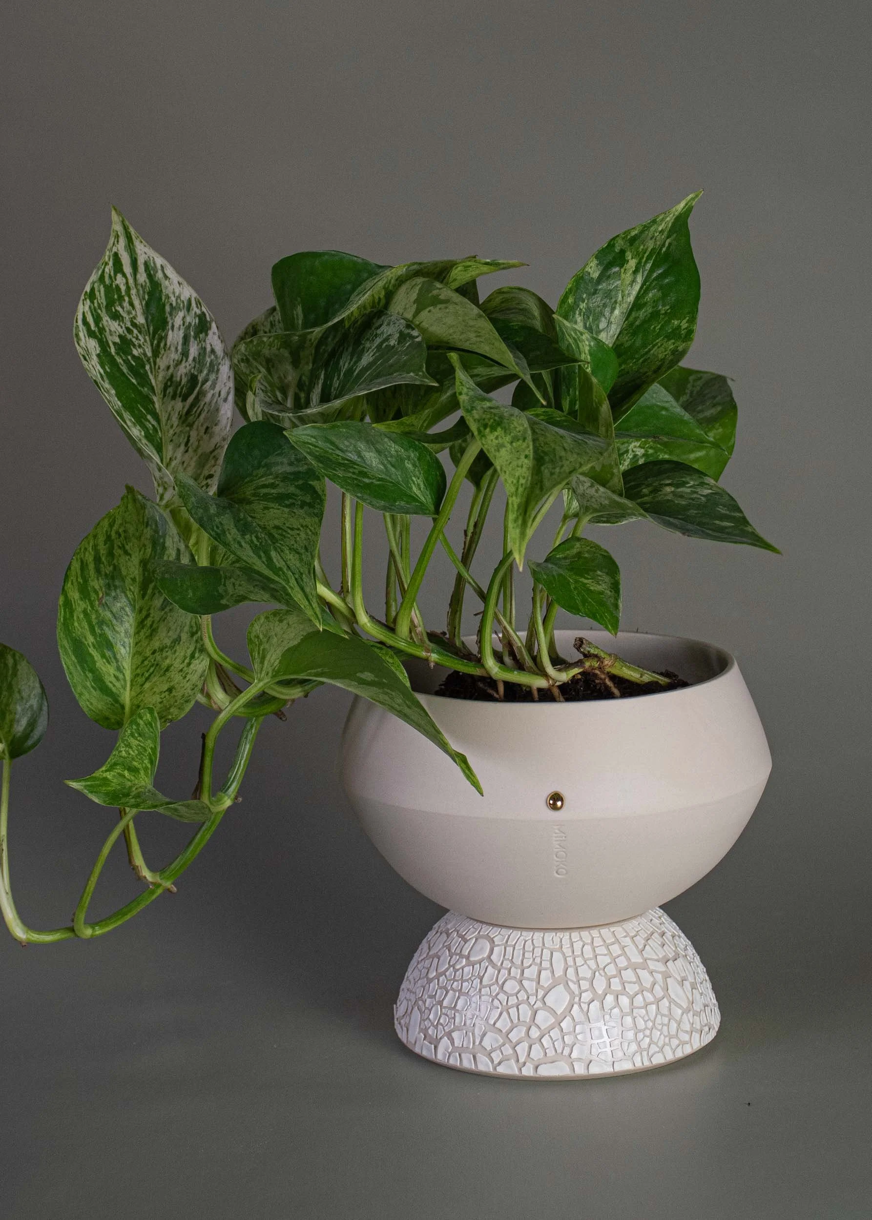 Cusp self watering planter