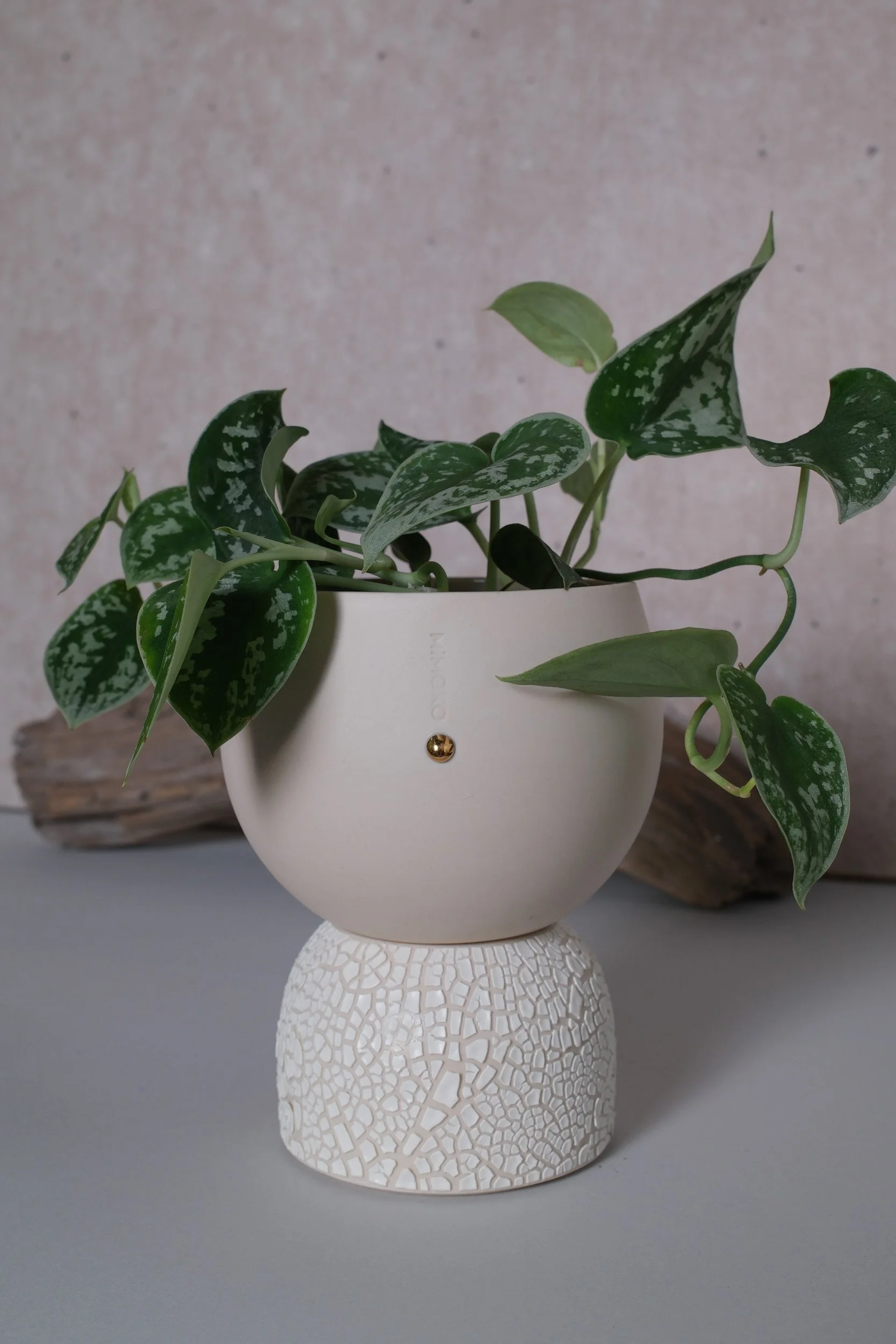 Globe self watering planter