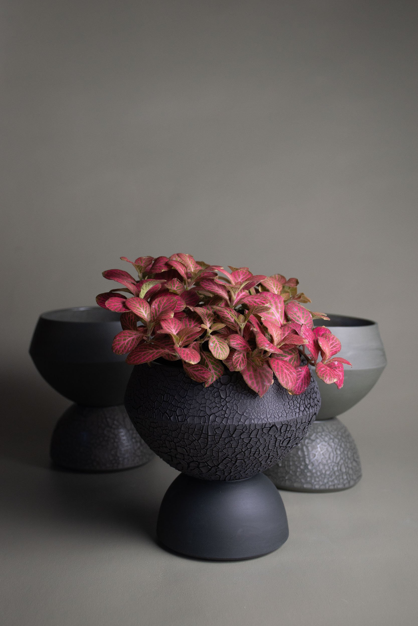 Kith CHARCOAL Self Watering Planter