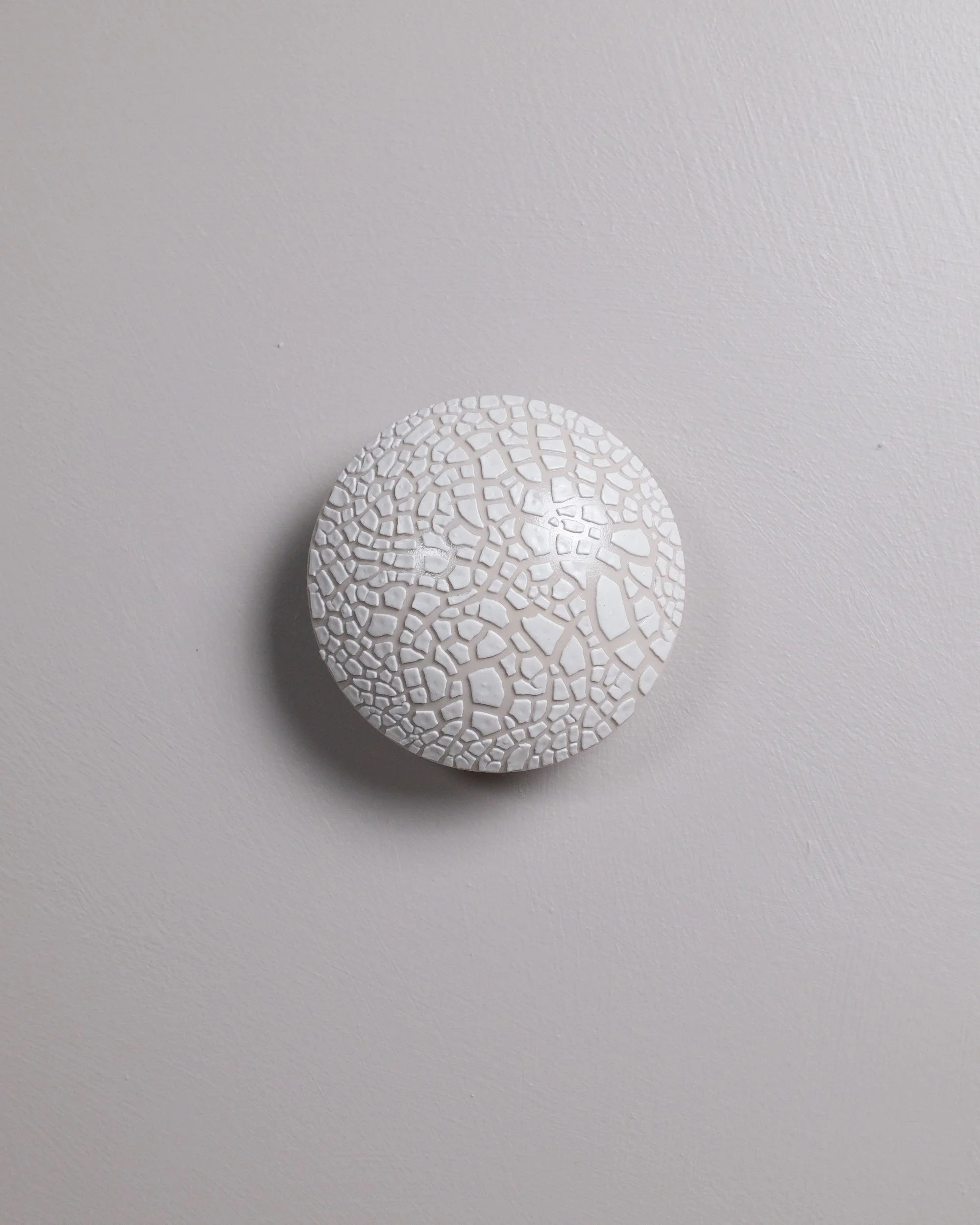 Small Seed · lichen · white