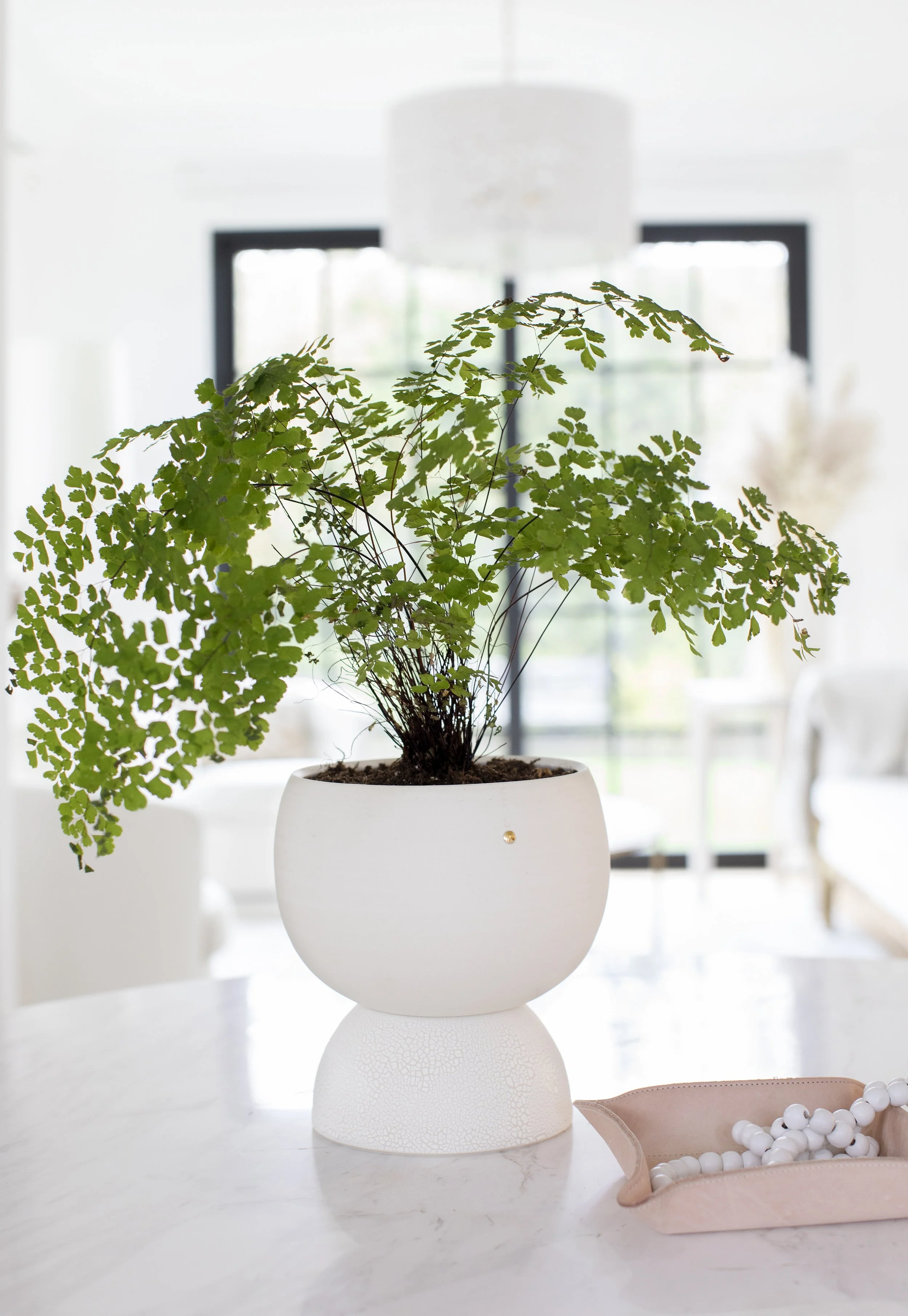 self watering planter, Vancouver, Canada