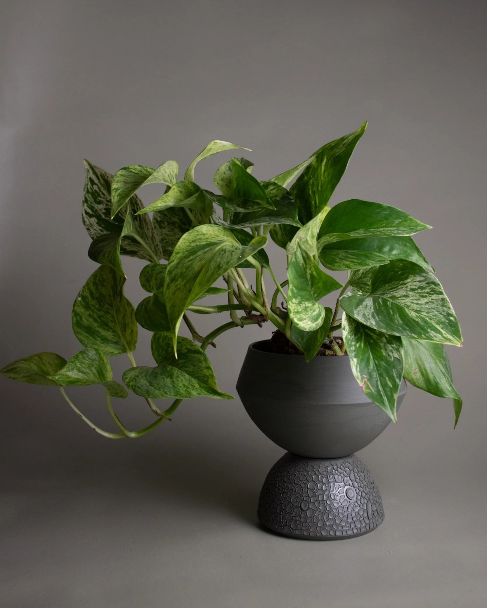 Kith SAGE Self Watering Planter