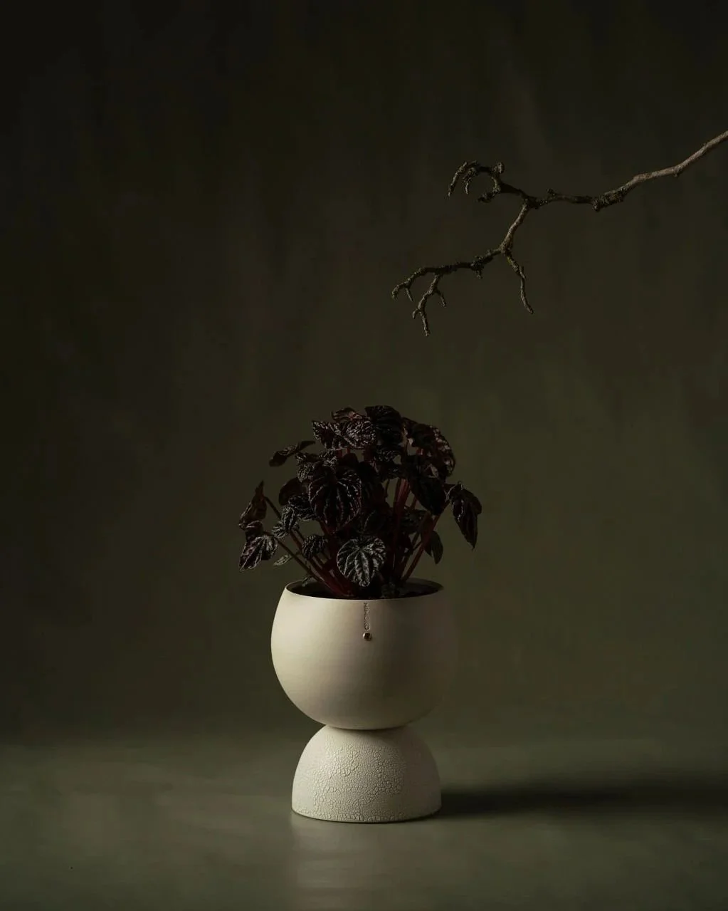 Mimoko-00594.jpg