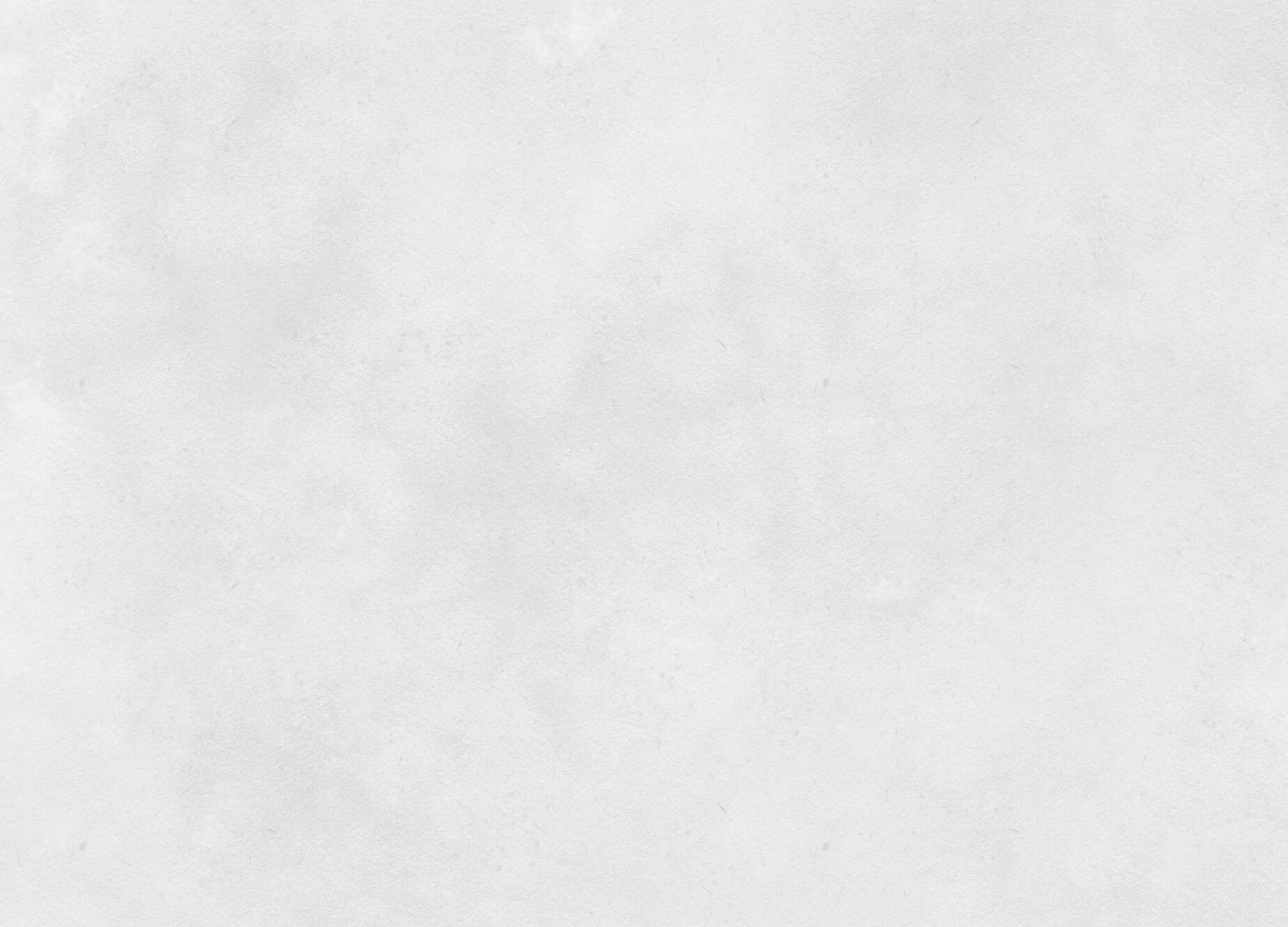Light Grey background copy.jpg